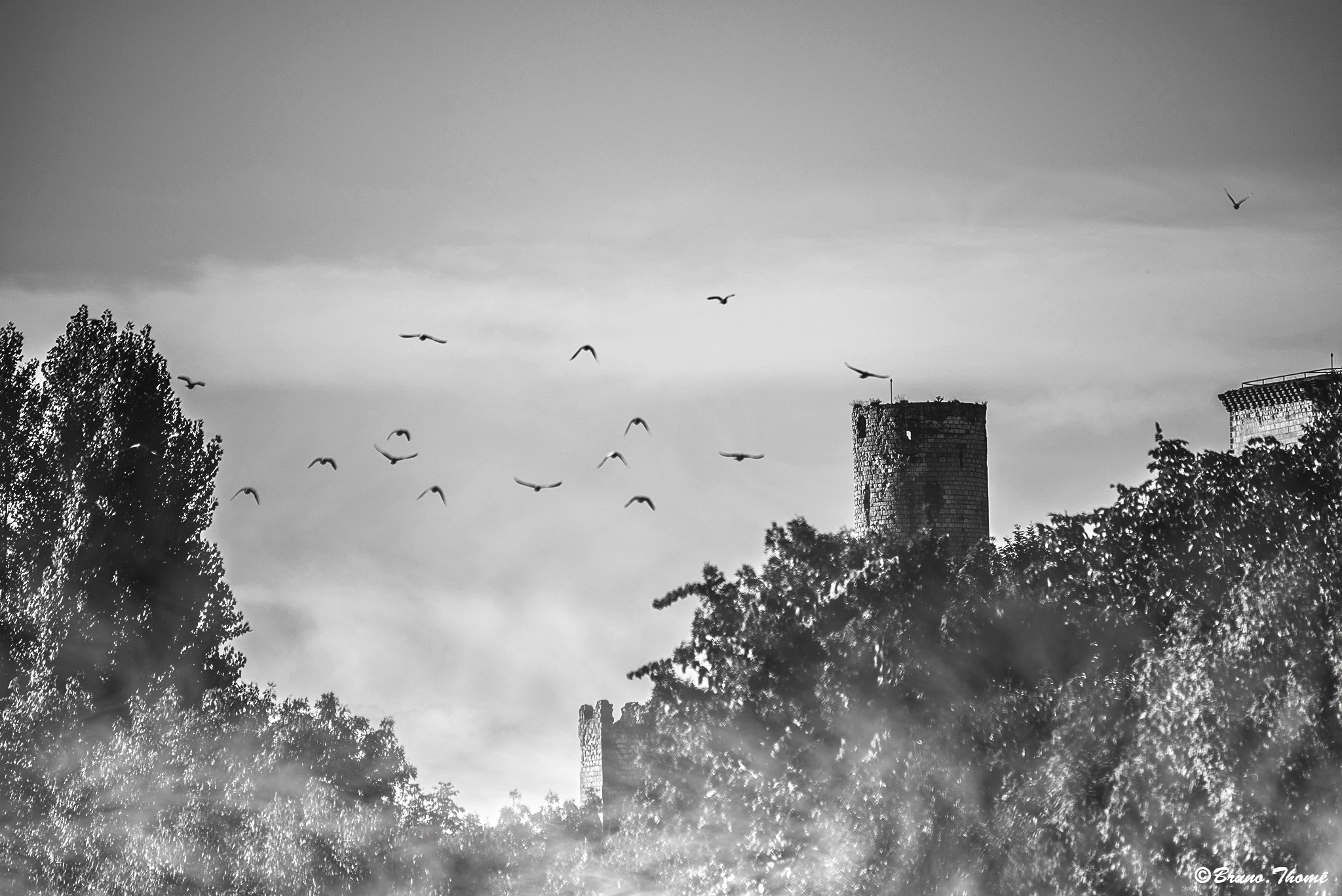 Pentax K-1 sample photo. Tower in the mist photography