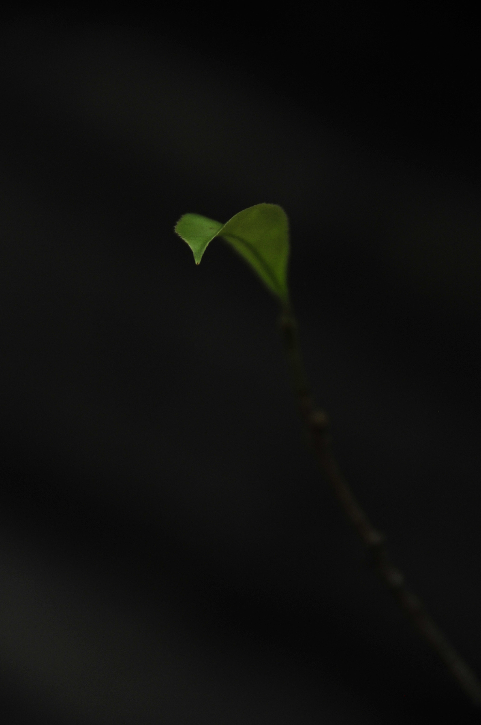 Nikon D3 sample photo. .. photography