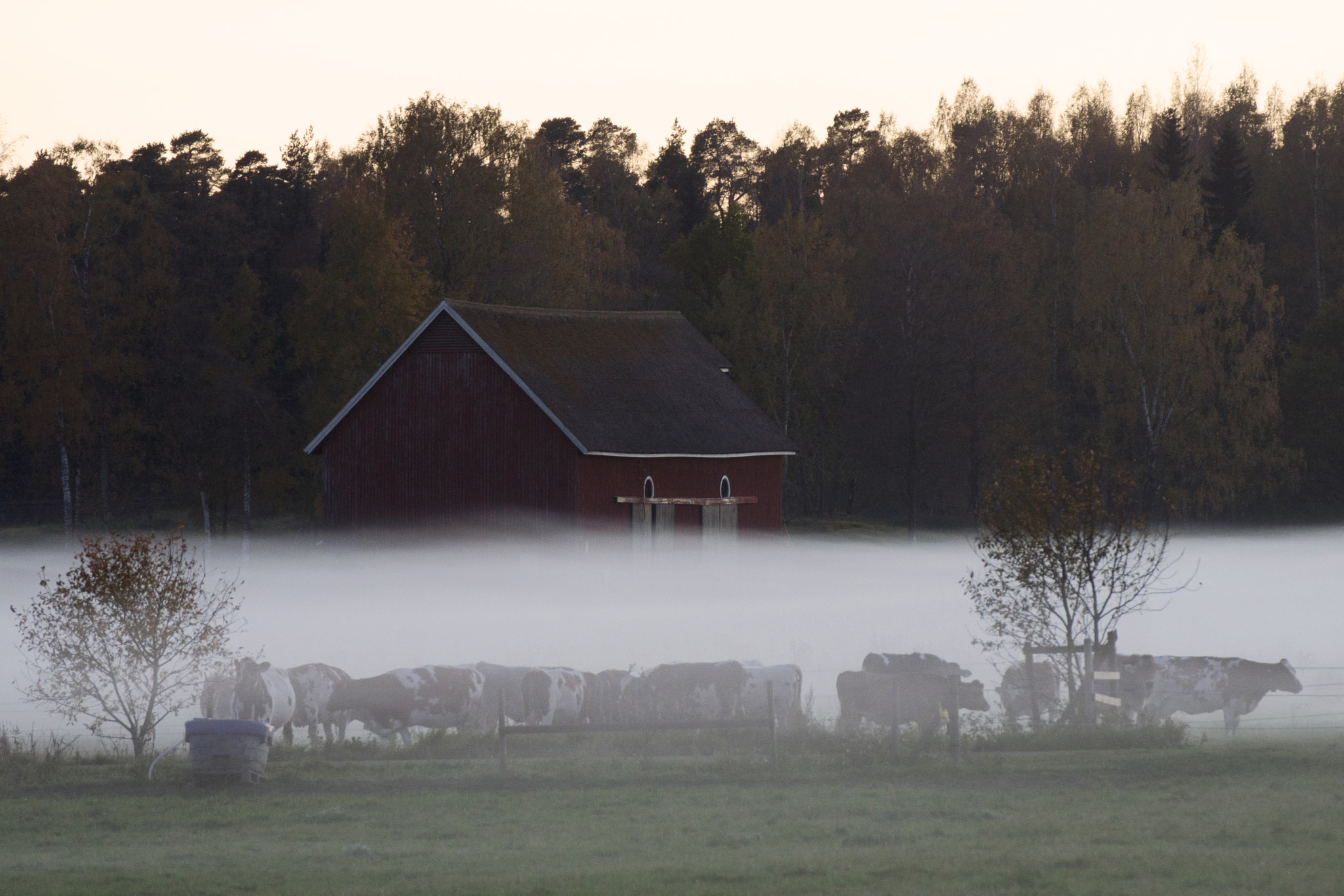 Tamron SP 70-300mm F4-5.6 Di USD sample photo. Foggy evening photography