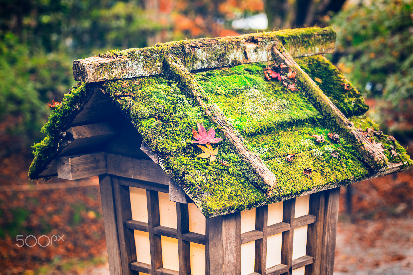 Sony a7R II + Sony 70-300mm F4.5-5.6 G SSM sample photo. Stone lantern with maple leaf photography