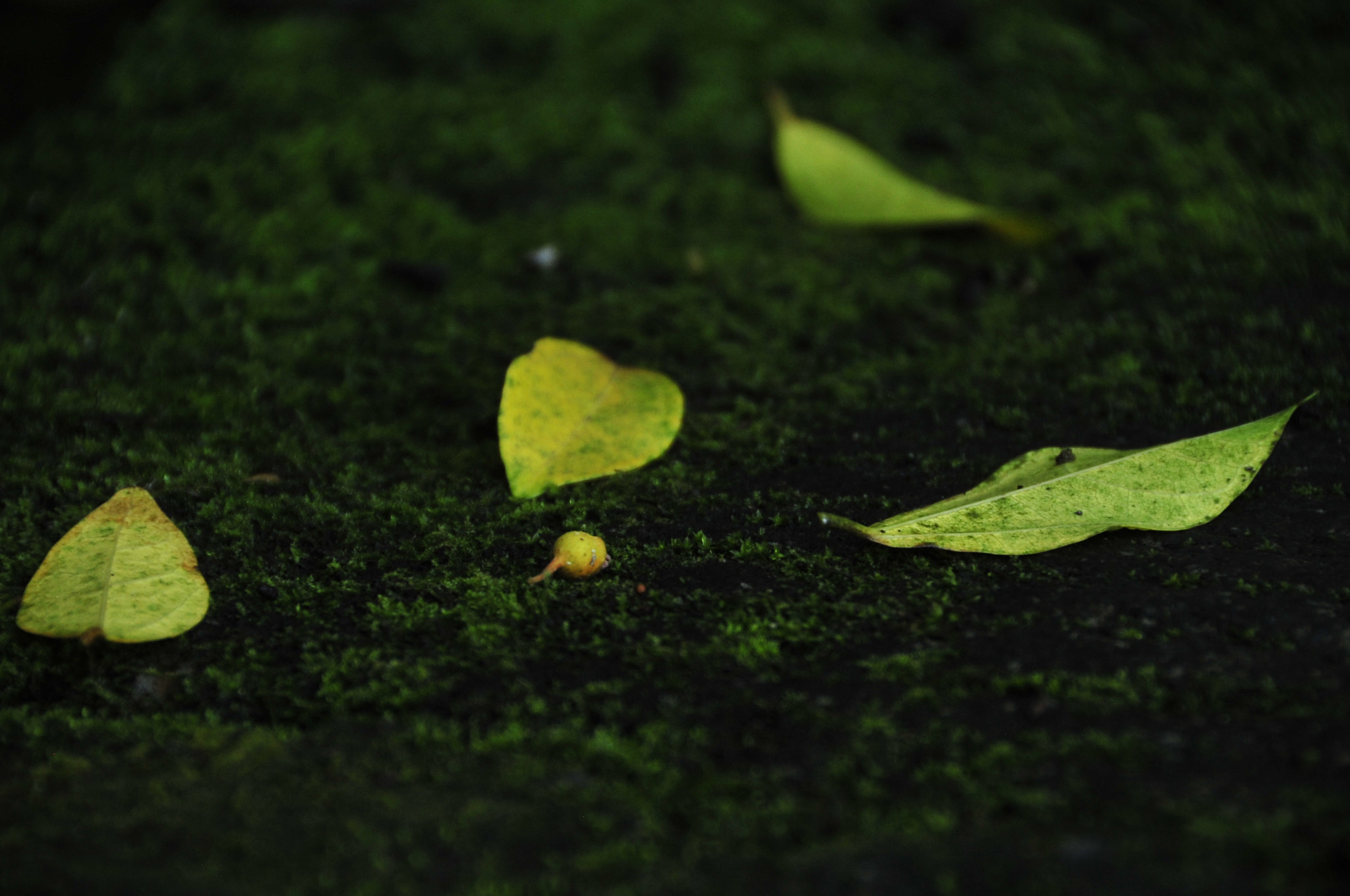 Nikon D3 sample photo. .. photography