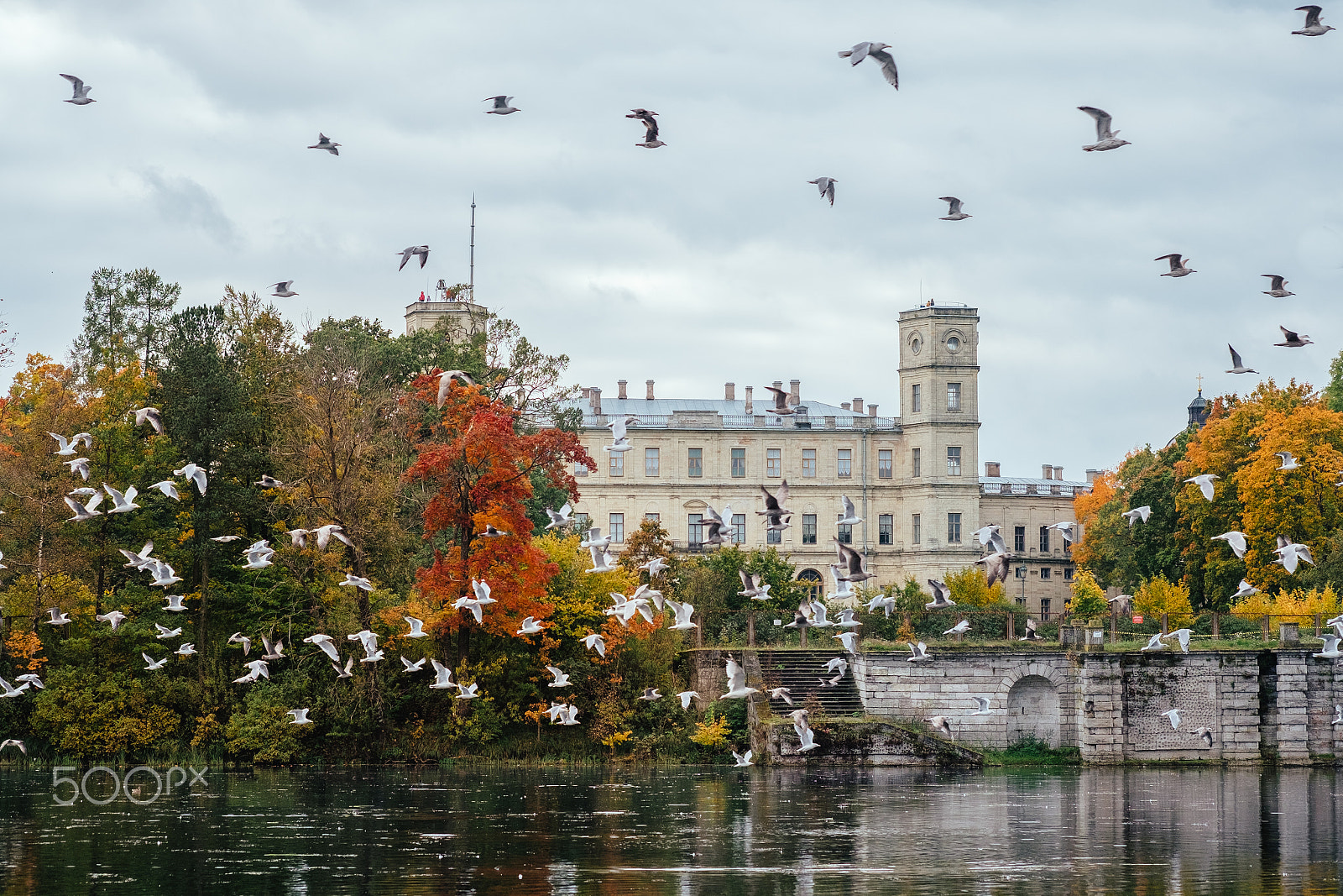 Fujifilm X-E2 sample photo. Golden autumn with a flock of seagulls birds flying near colorful trees with beautiful castle on... photography