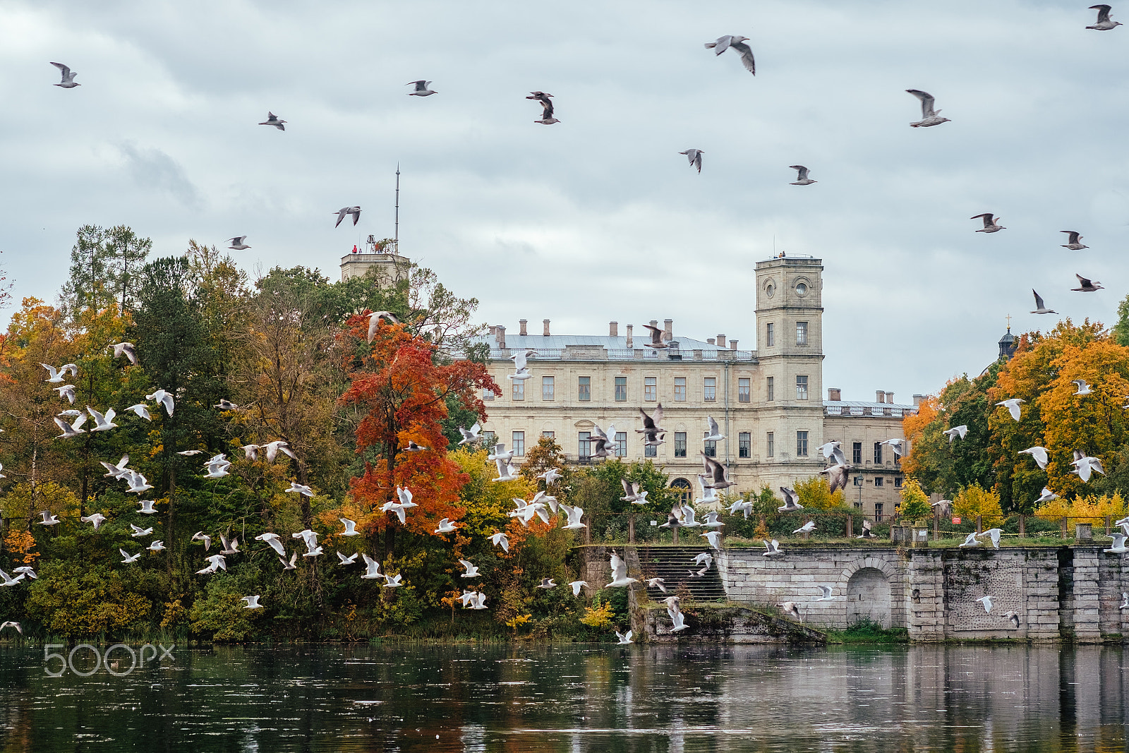Fujifilm X-E2 + Fujifilm XF 60mm F2.4 R Macro sample photo. Golden autumn with a flock of seagulls birds flying near colorful trees with beautiful castle on... photography
