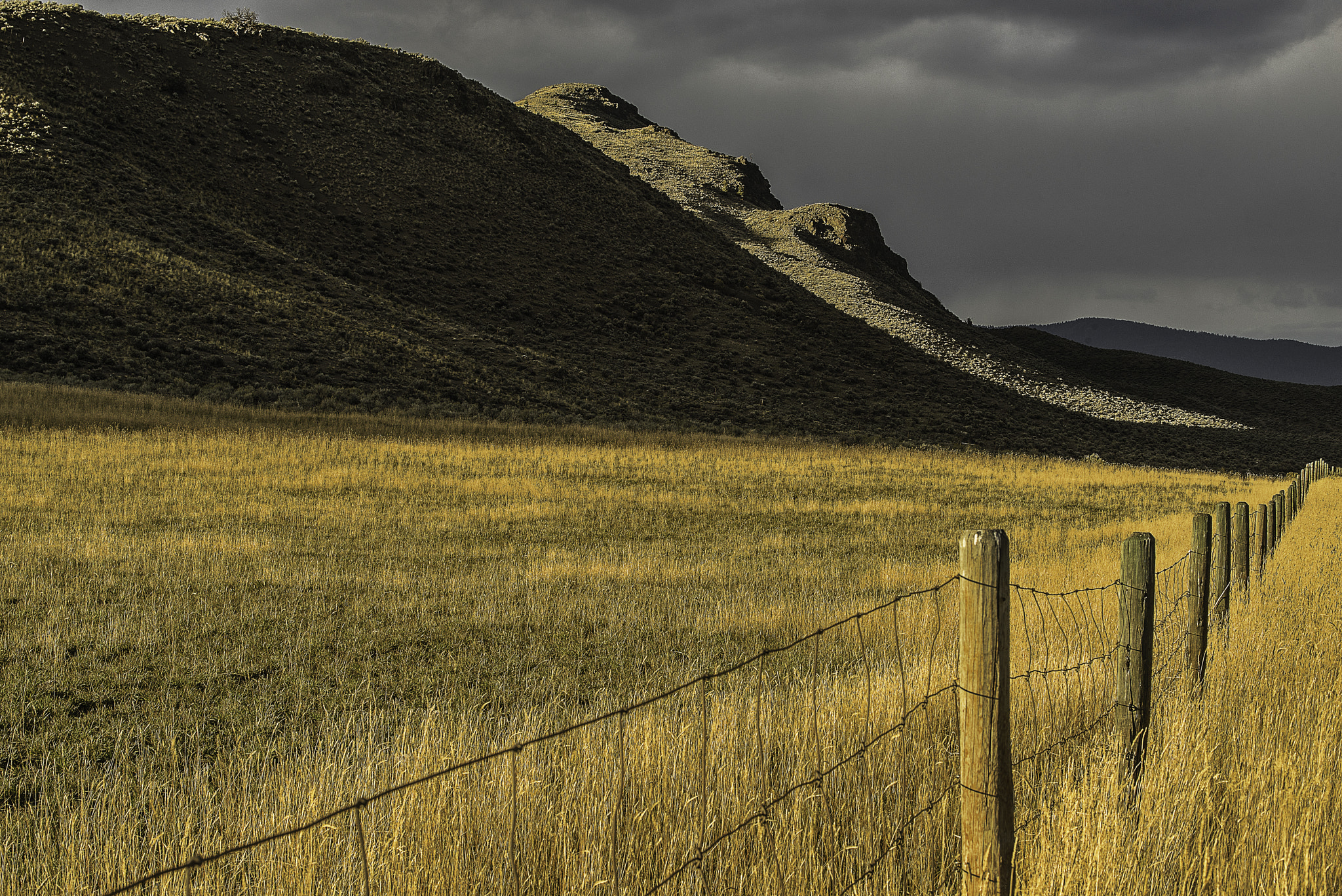 Sony 75-300mm F4.5-5.6 sample photo. Fenceline photography