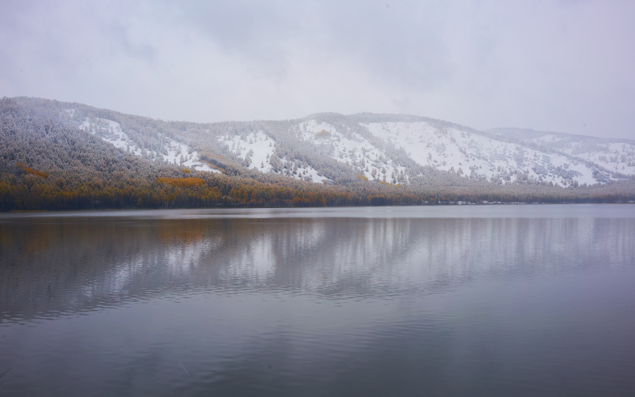 Sony a7R II + ZEISS Loxia 35mm F2 sample photo. Arshan national forrest park photography