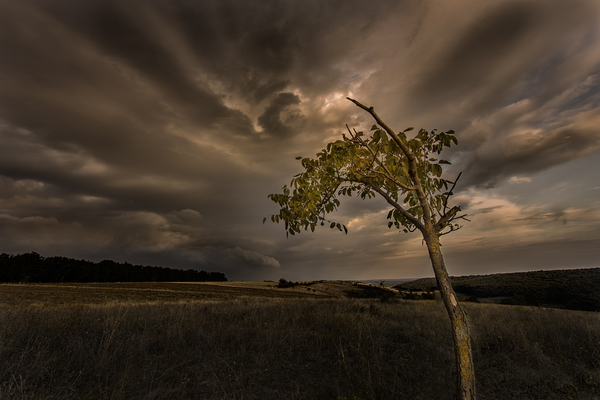 Sony a7 + Canon EF 17-40mm F4L USM sample photo. Alone in front of storm  photography