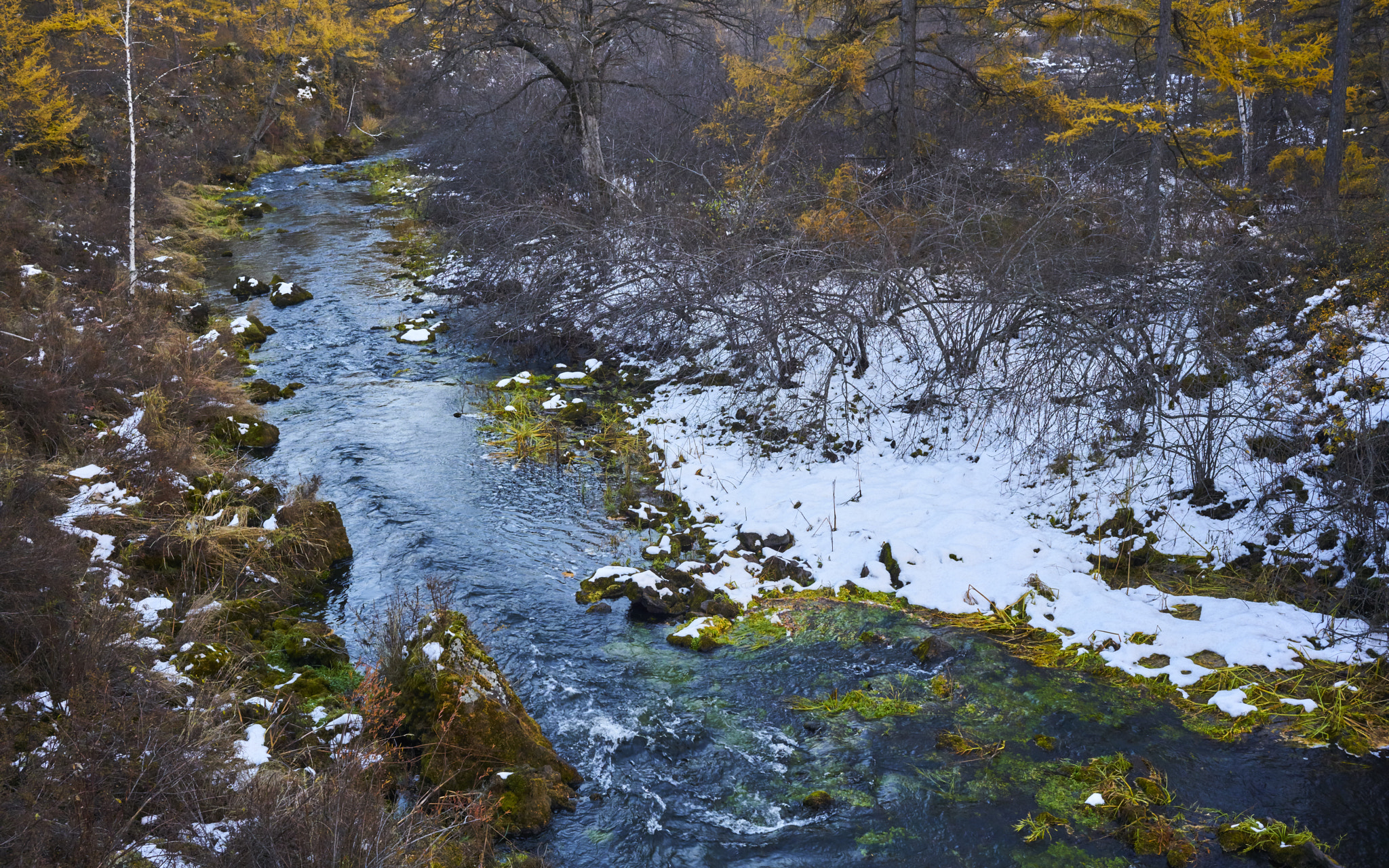 ZEISS Loxia 35mm F2 sample photo