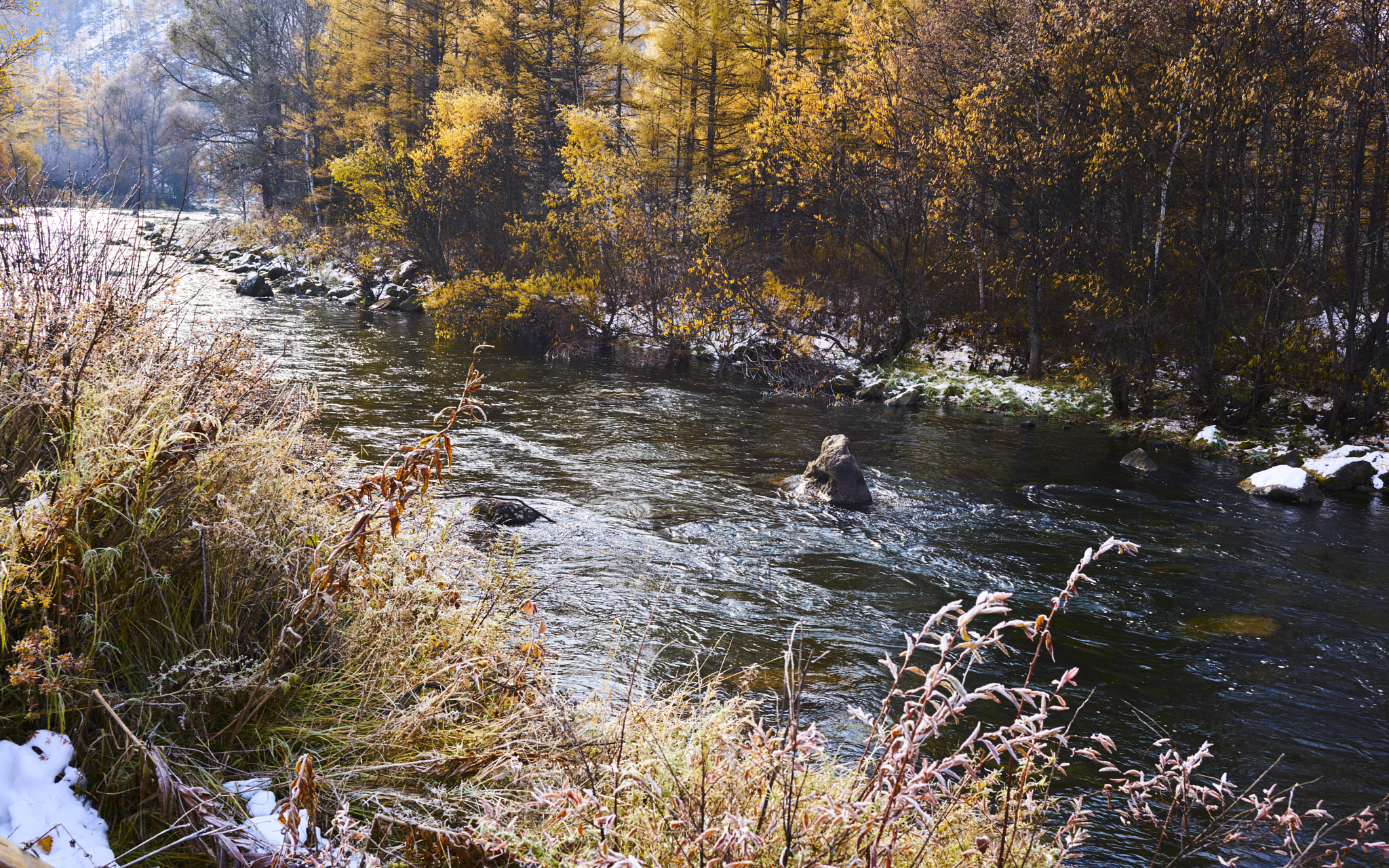 ZEISS Loxia 35mm F2 sample photo