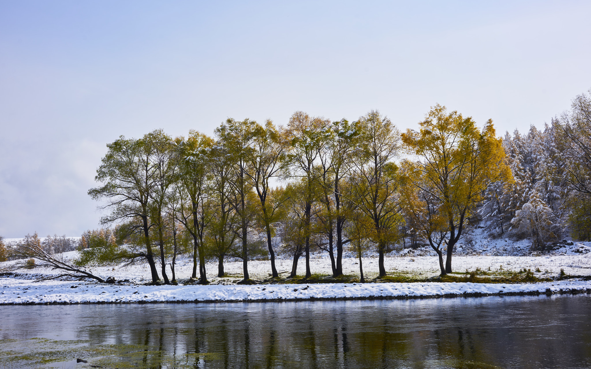 Sony a7R II + ZEISS Loxia 35mm F2 sample photo