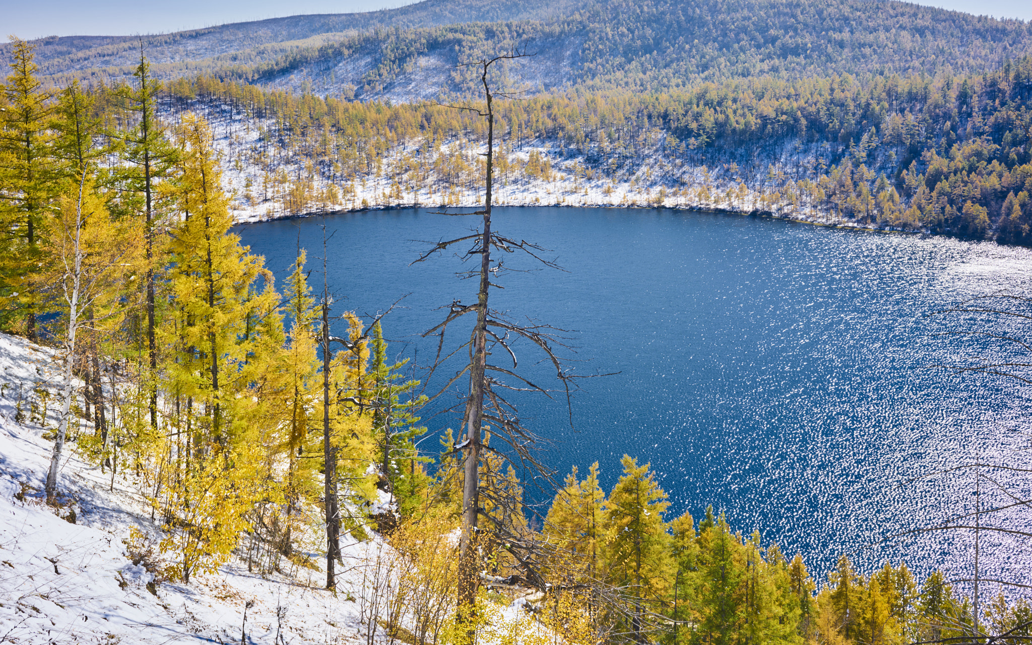 ZEISS Loxia 35mm F2 sample photo. Arshan national forrest park photography