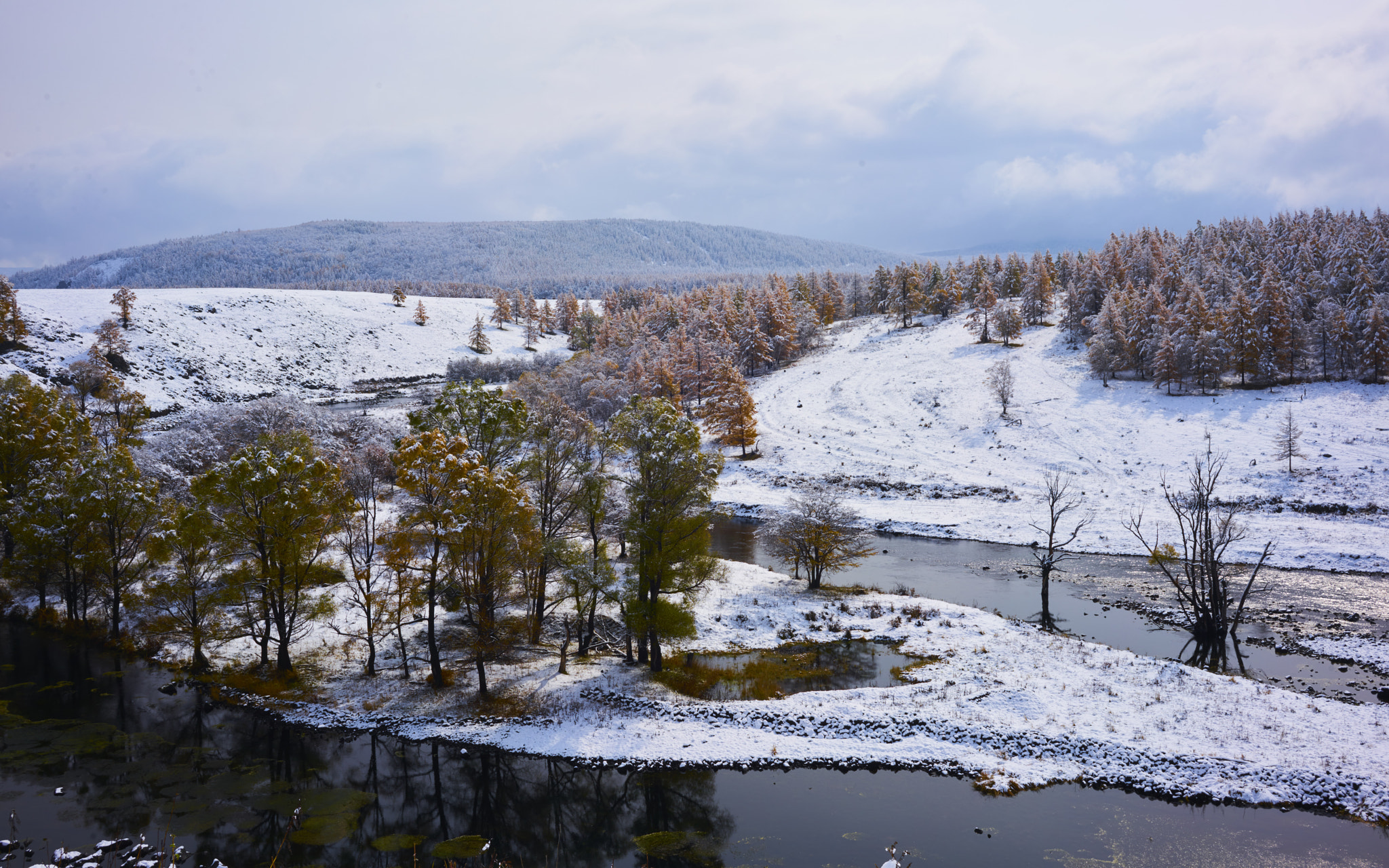 Sony a7R II + ZEISS Loxia 35mm F2 sample photo