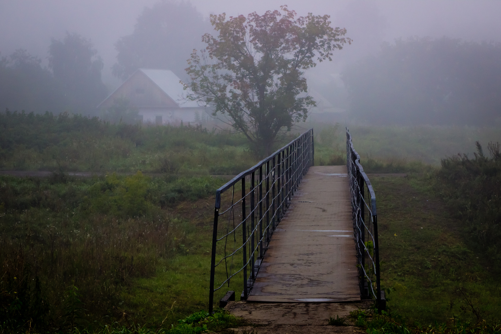 Canon EF 28-105mm f/3.5-4.5 USM sample photo. Morning mist photography