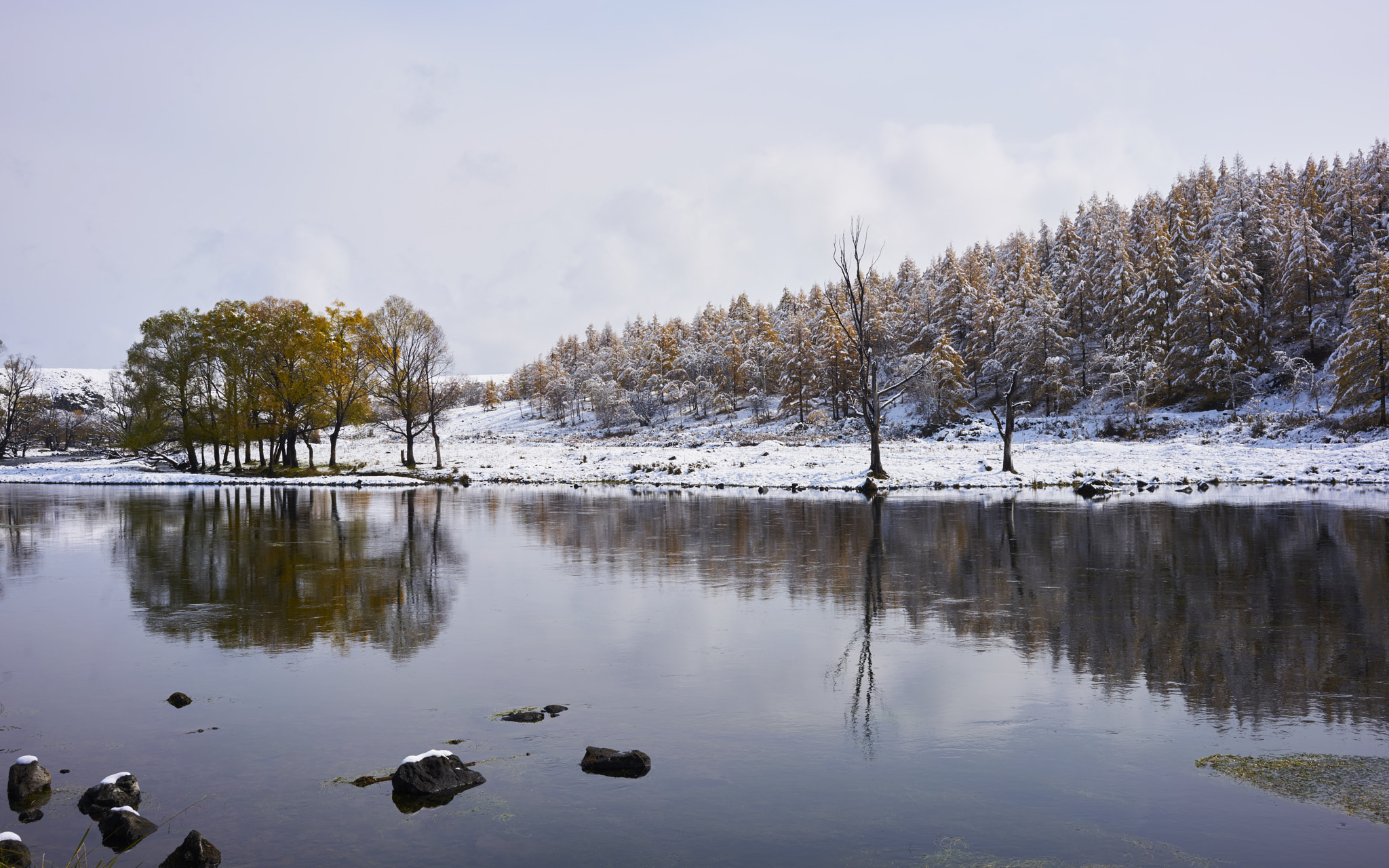 ZEISS Loxia 35mm F2 sample photo. Arshan national forest park photography