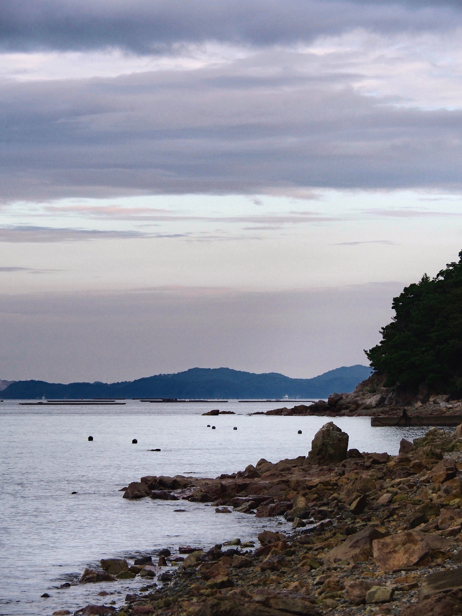 Olympus OM-D E-M5 II sample photo. Maruyama beach at dusk photography