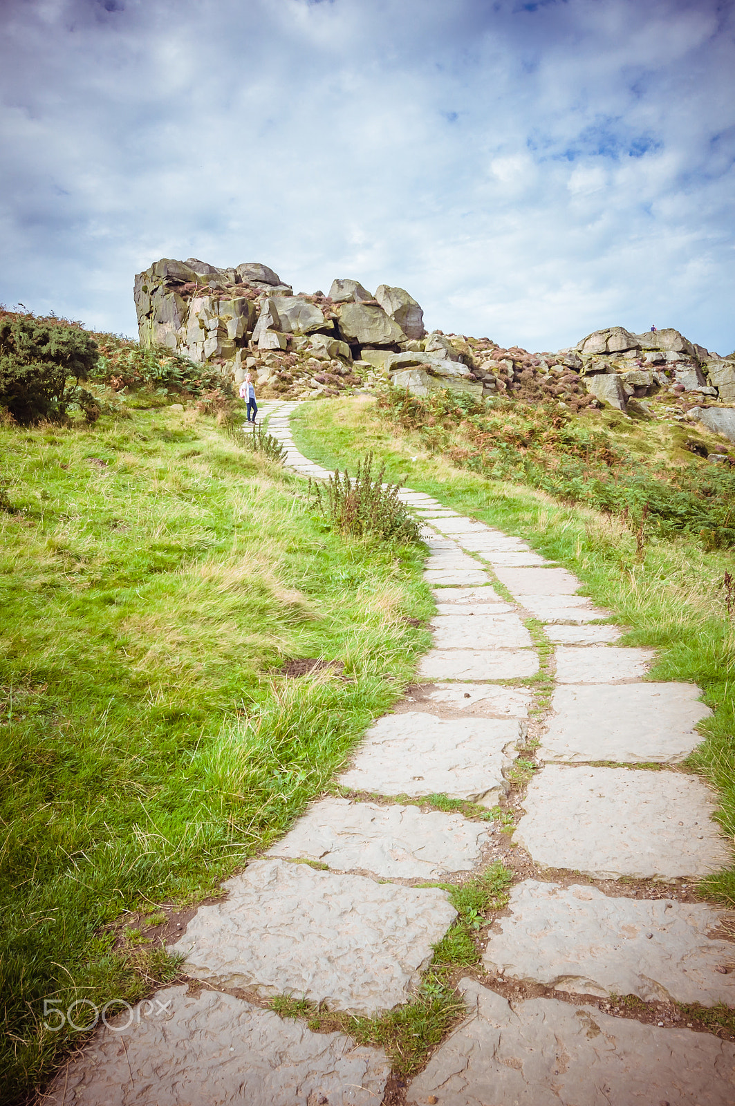 Nikon D90 + Tokina AT-X 11-20 F2.8 PRO DX (AF 11-20mm f/2.8) sample photo. Cow and calf rocks photography