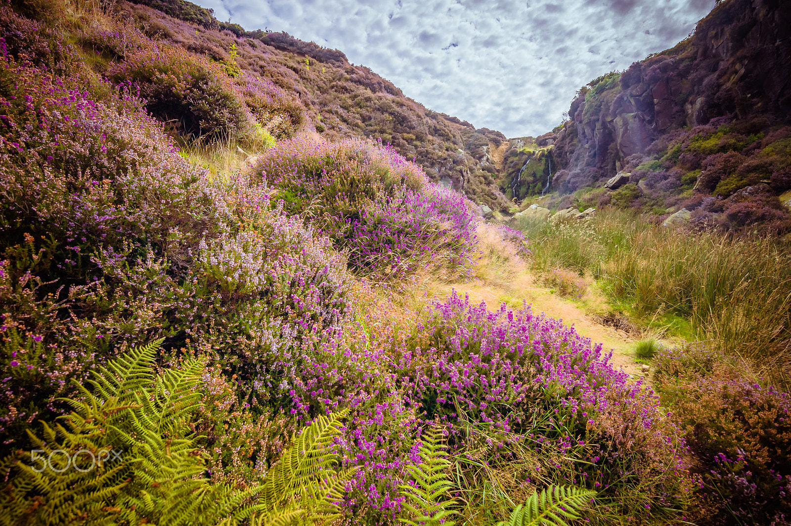 Nikon D90 + Tokina AT-X 11-20 F2.8 PRO DX (AF 11-20mm f/2.8) sample photo. Ilkley moor photography