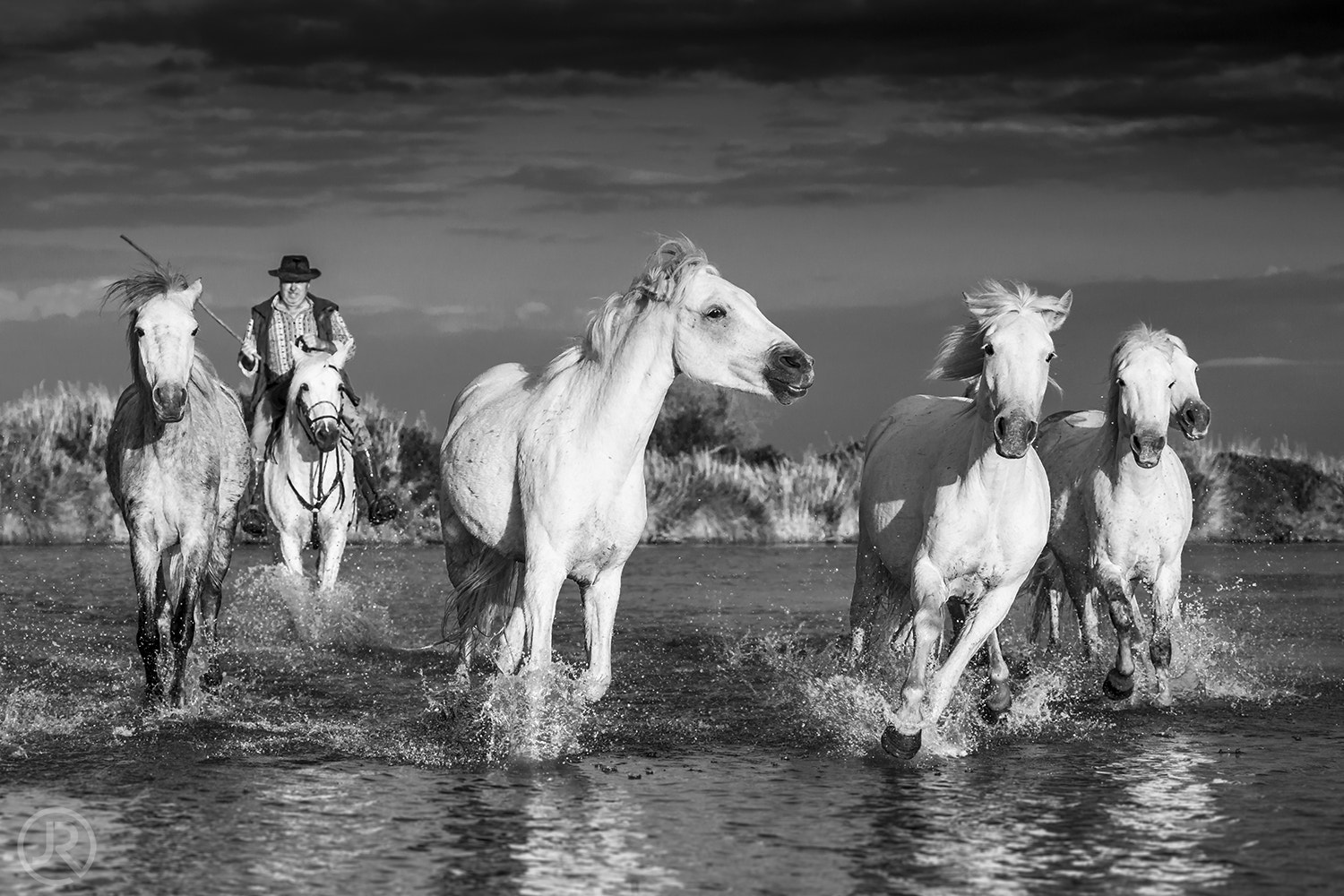 Canon EF 100-400mm F4.5-5.6L IS USM sample photo. Gardian en camargue photography