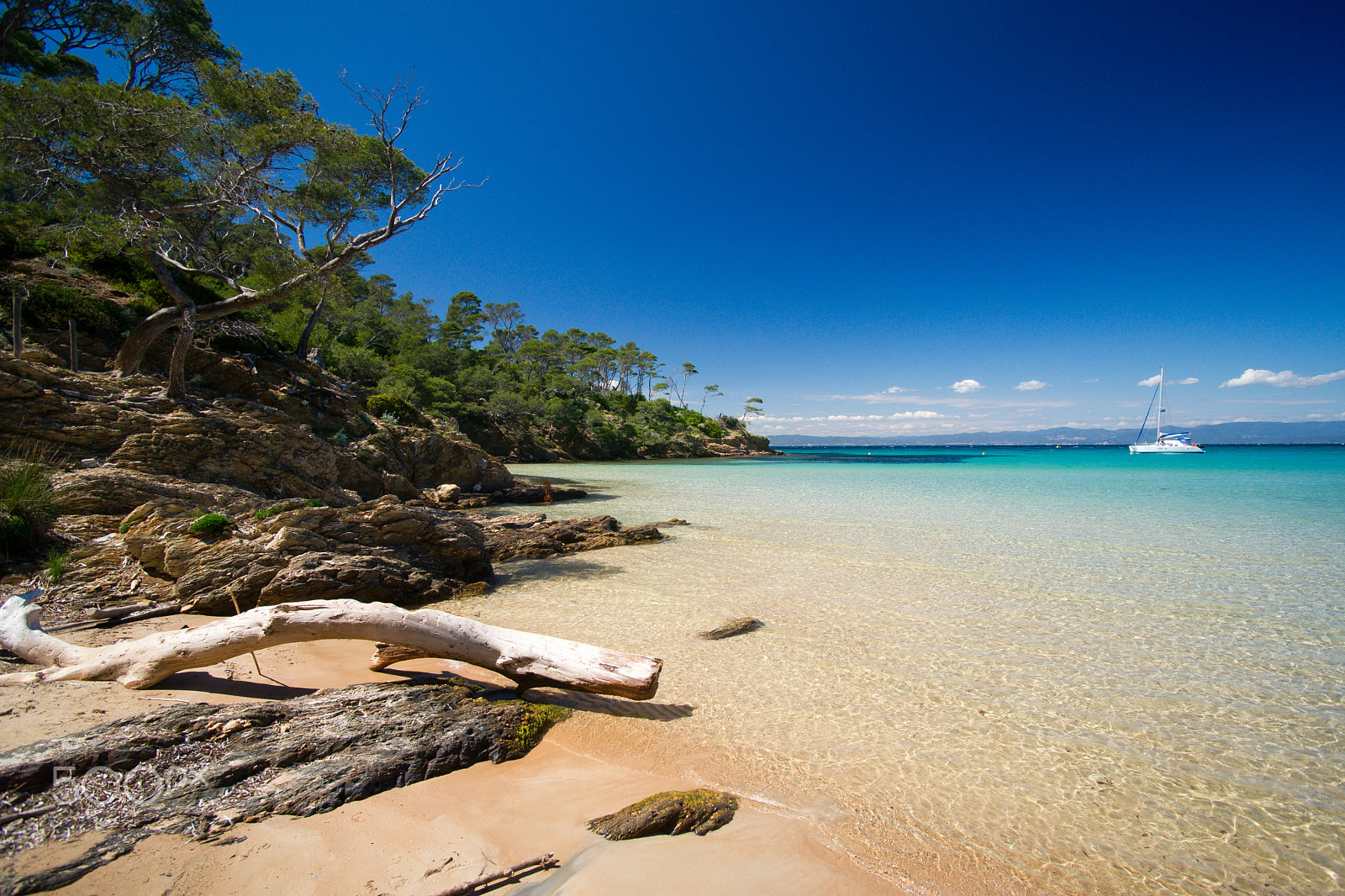 Sony Alpha DSLR-A850 sample photo. Plage notre dame, porquerolles, france photography