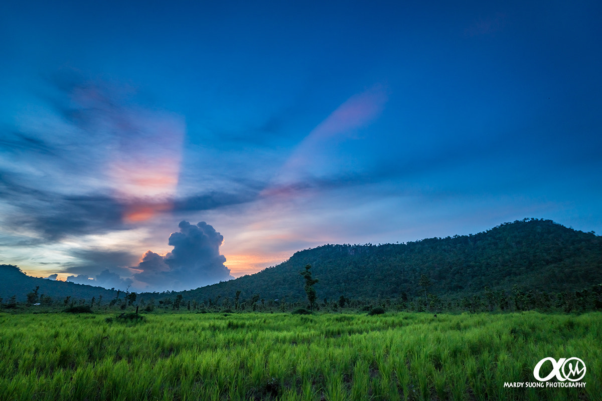 Sony Vario-Sonnar T* 16-35mm F2.8 ZA SSM II sample photo. A beauty of nature ! (ខេត្តសៀមរាប) photography