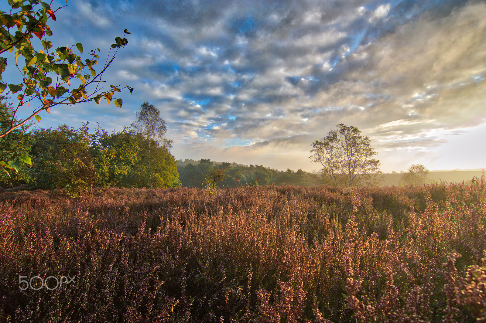 Tokina AT-X Pro 12-24mm F4 (IF) DX sample photo. Heide photography