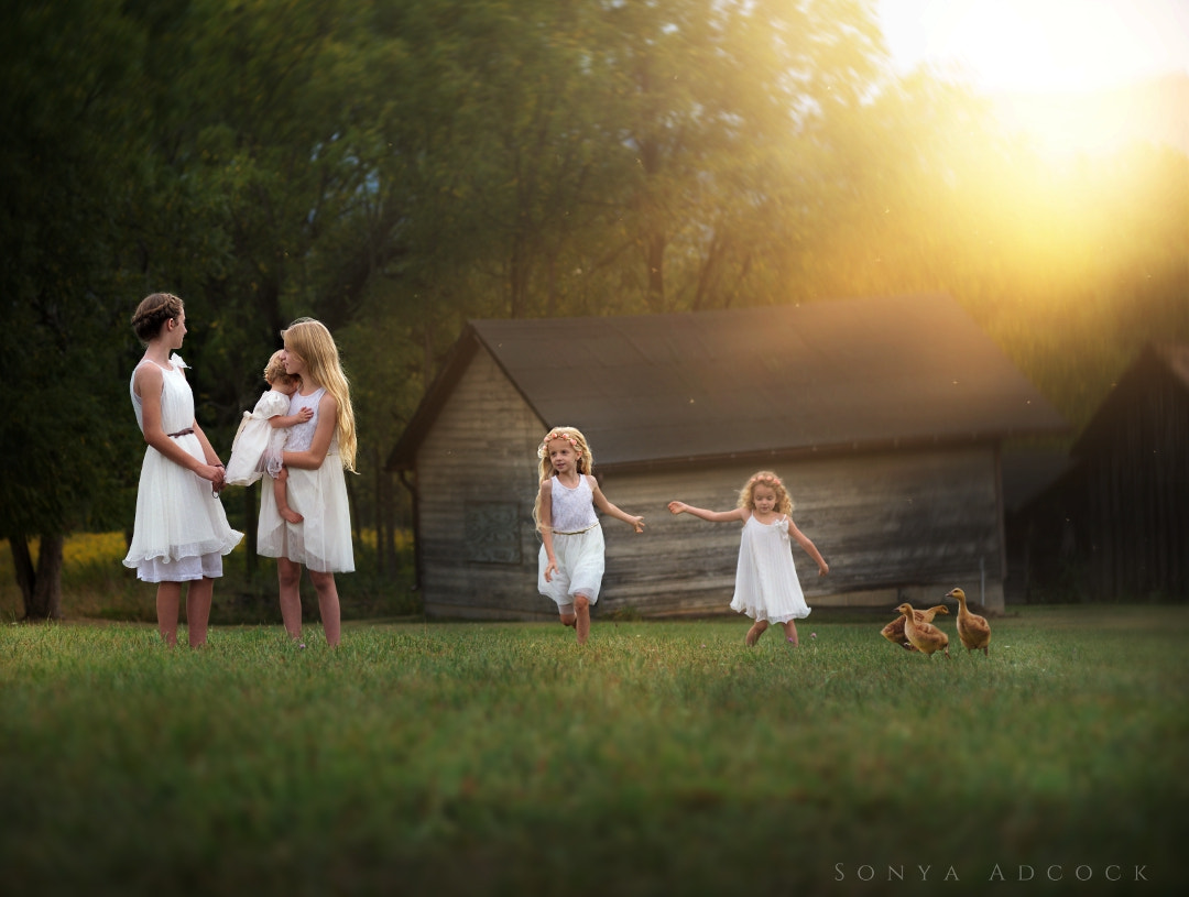 Nikon D700 + Nikon AF Nikkor 105mm F2D DC sample photo. Harmony photography