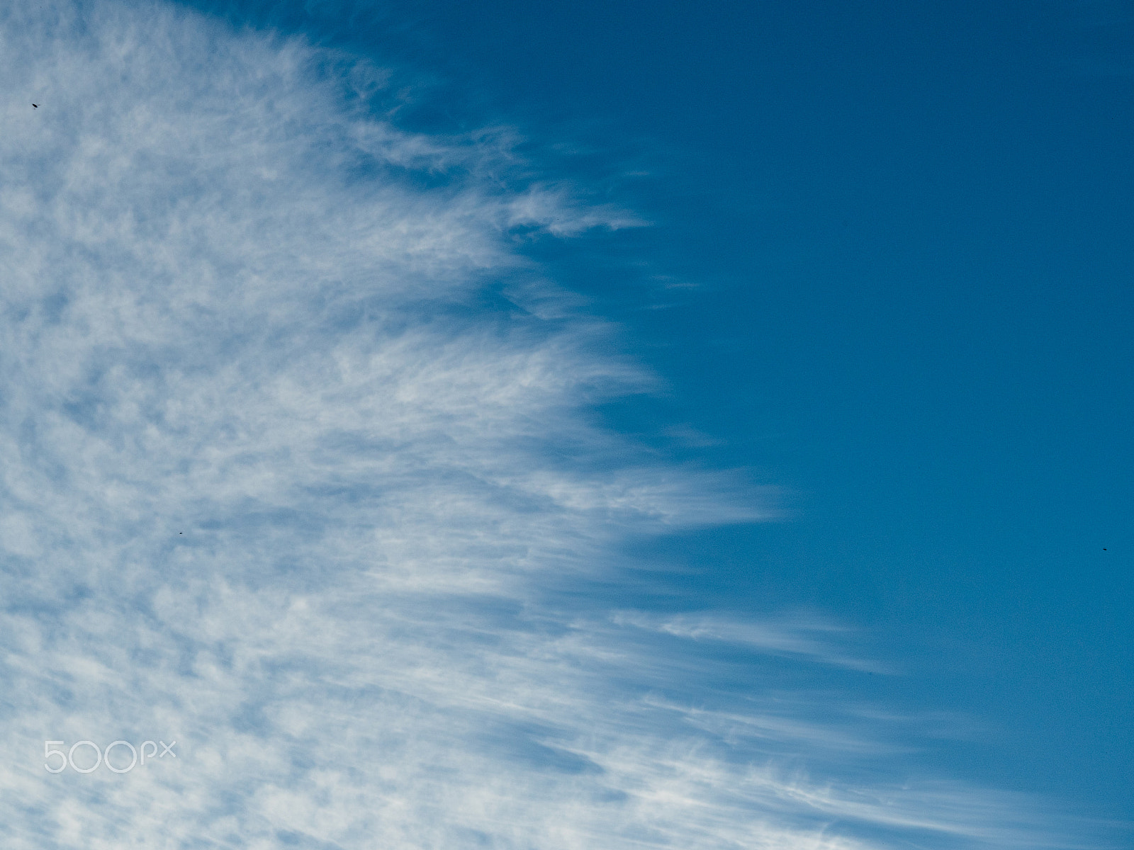 Olympus OM-D E-M5 II + Sigma 60mm F2.8 DN Art sample photo. Cloud and sky photography
