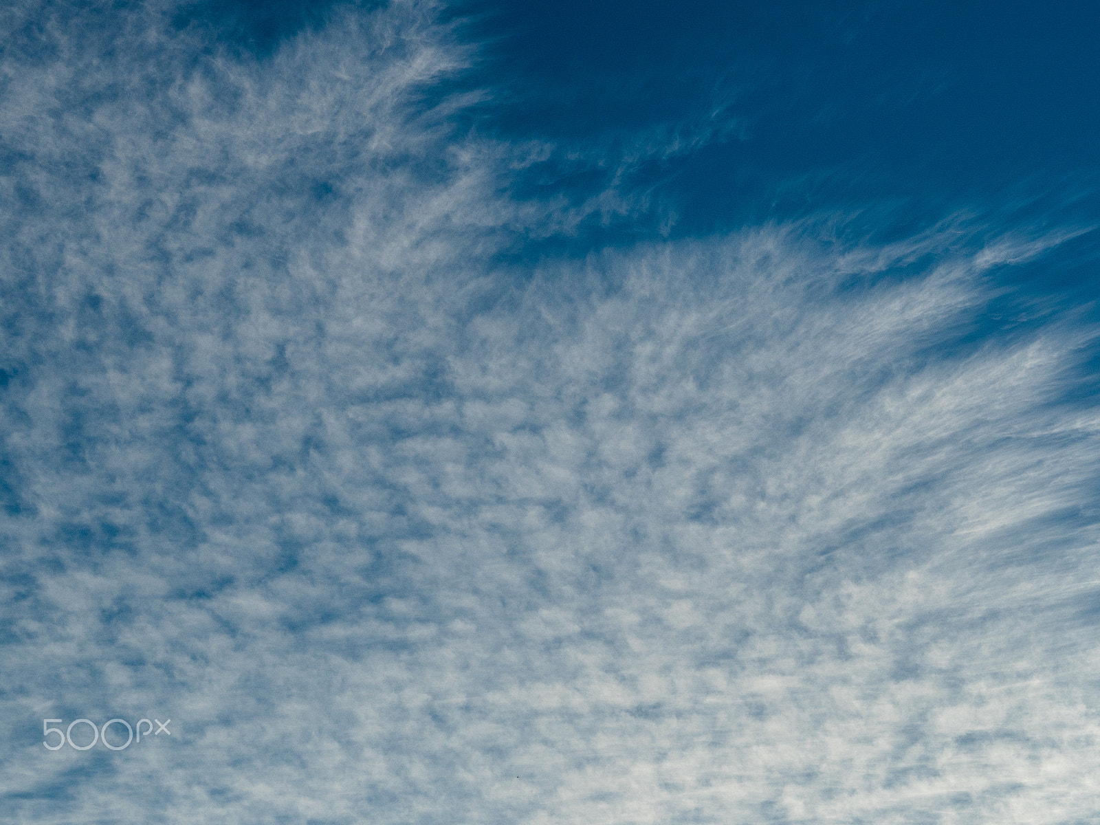 Olympus OM-D E-M5 II + Sigma 60mm F2.8 DN Art sample photo. Cloud and sky photography