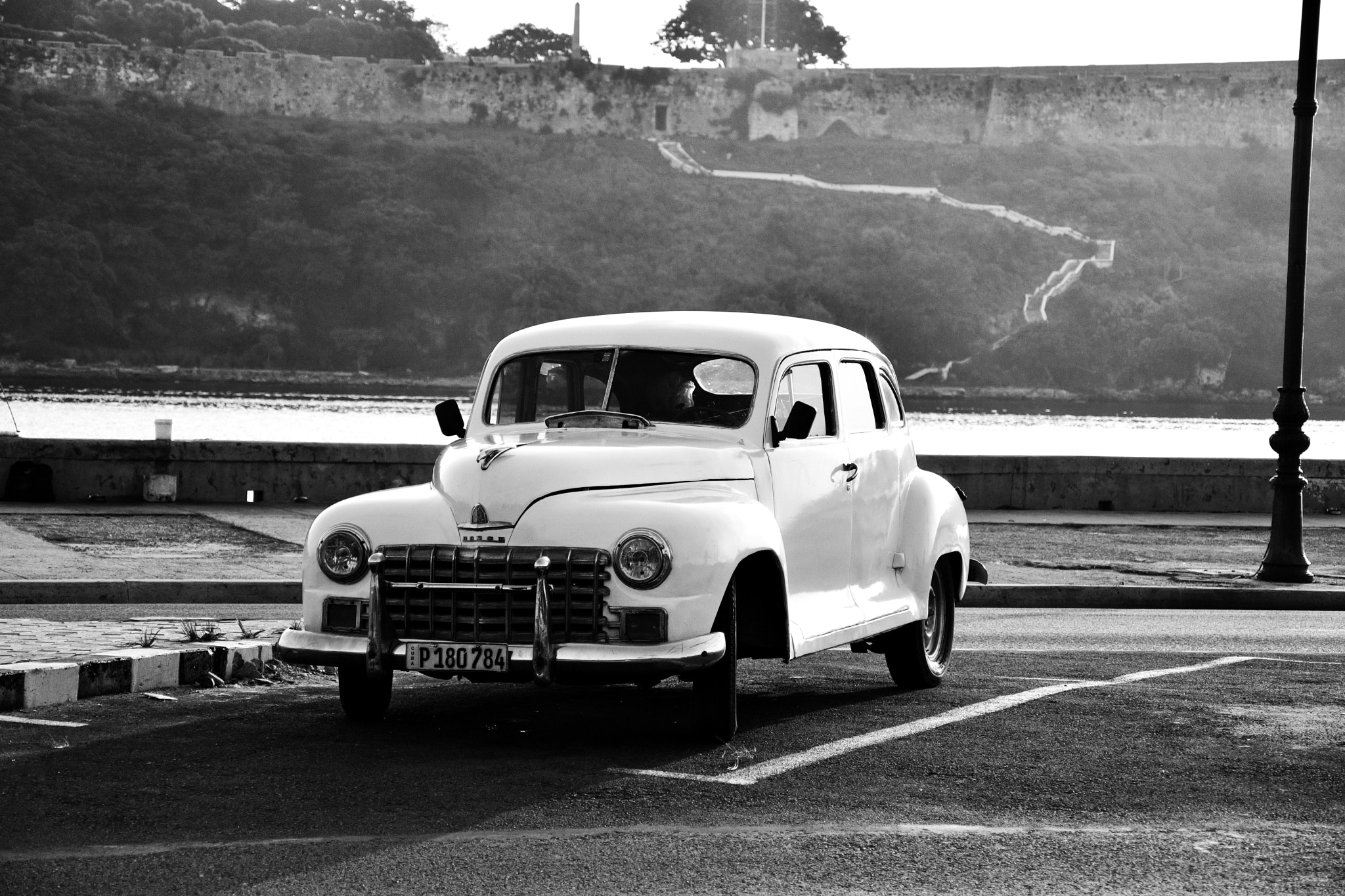 Nikon D500 sample photo. B&w photography