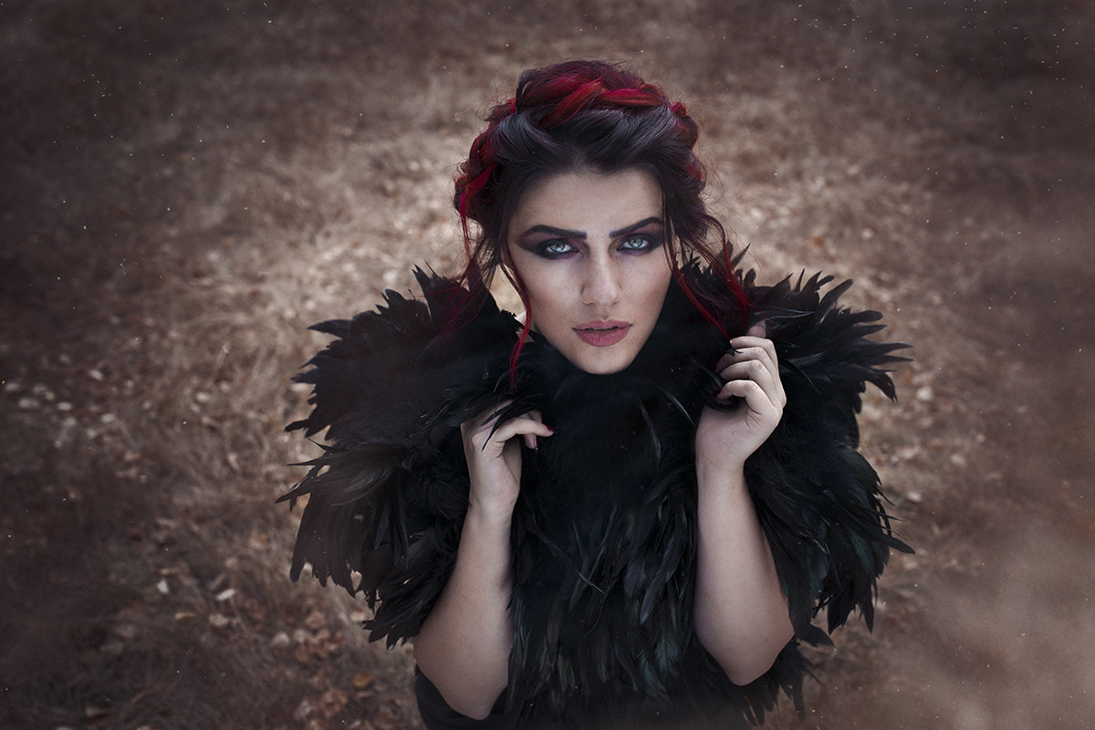 Canon EF 35mm F1.4L II USM sample photo. Raven photography