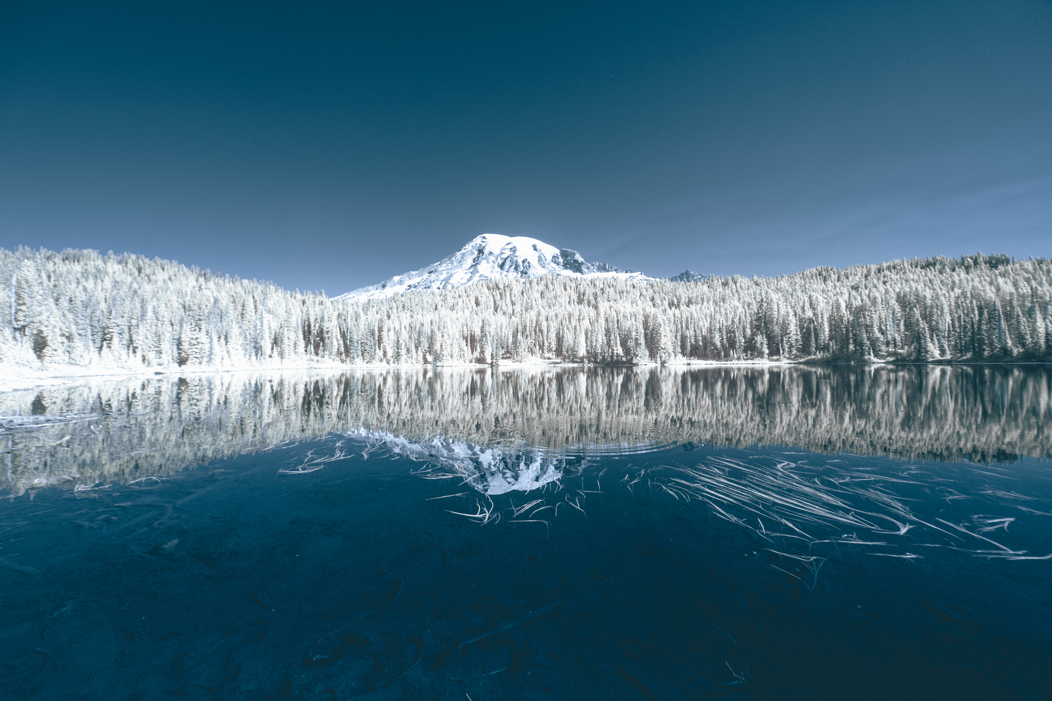 Canon EF 14mm F2.8L II USM sample photo. Reflection lake in infrared photography