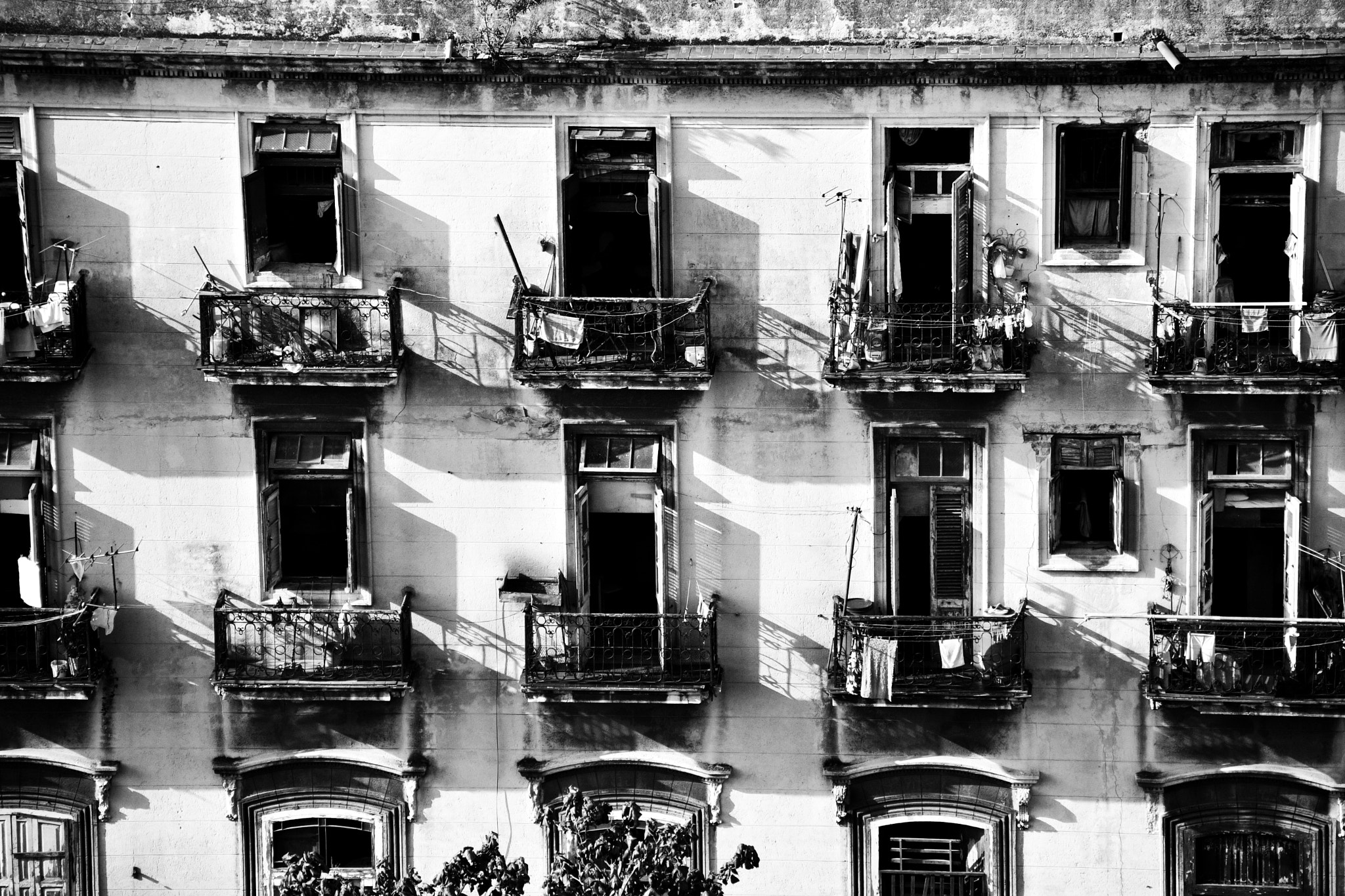 Nikon D500 sample photo. B&w photography
