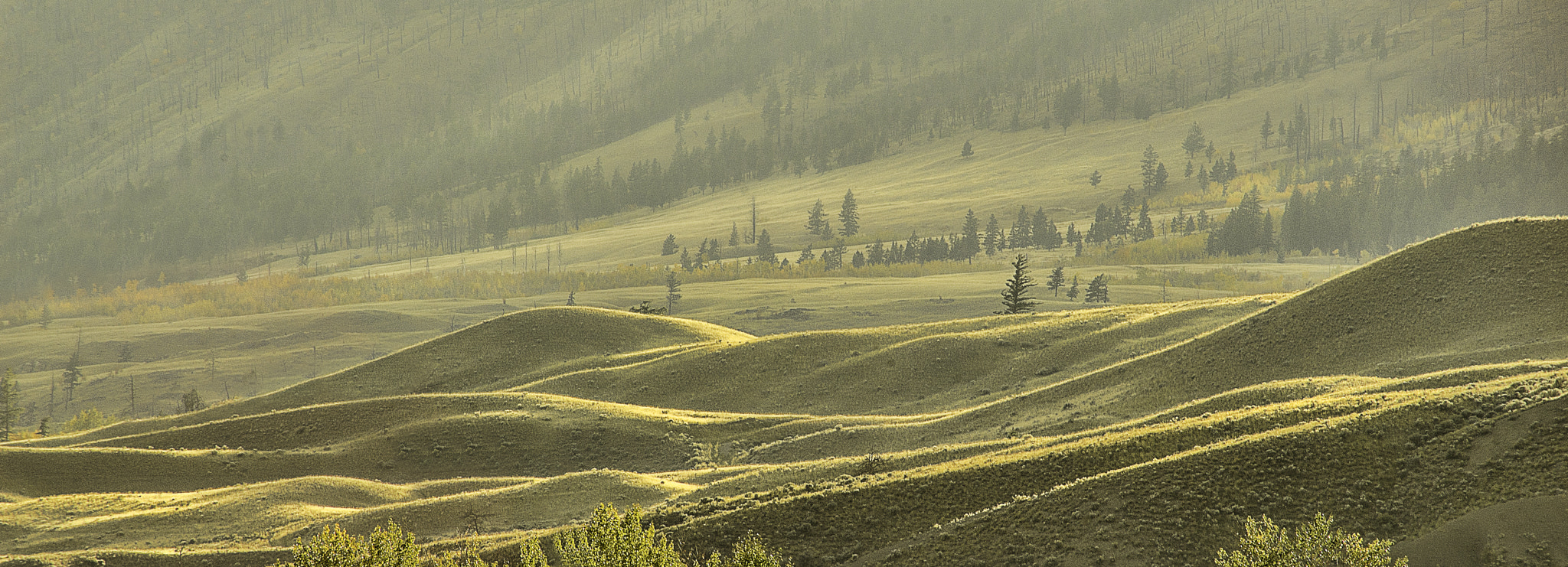 Sony 75-300mm F4.5-5.6 sample photo. Open range photography