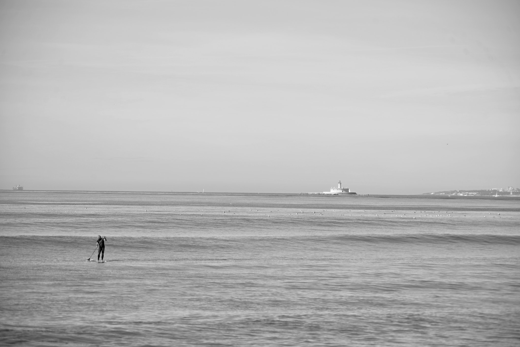 Sigma 150-500mm F5-6.3 DG OS HSM sample photo. Tranquilo photography