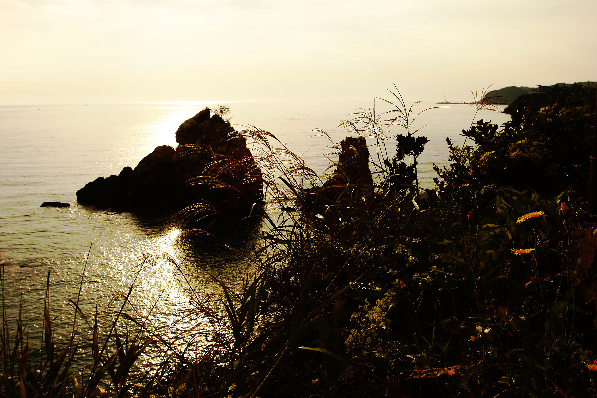 Canon EOS 60D + Canon EF 16-35mm F2.8L USM sample photo