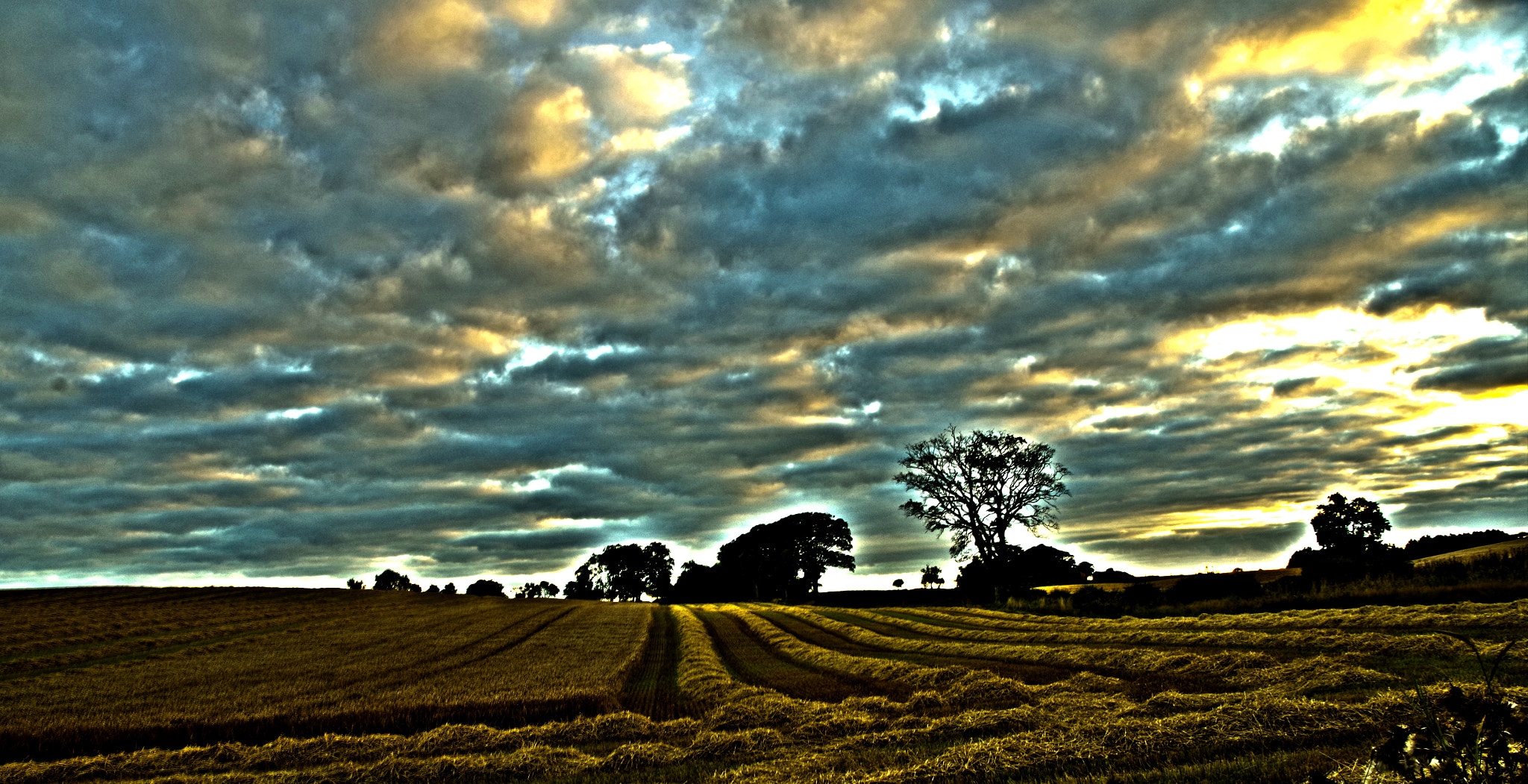 Pentax K-30 sample photo. Harvest at mount pleasant photography