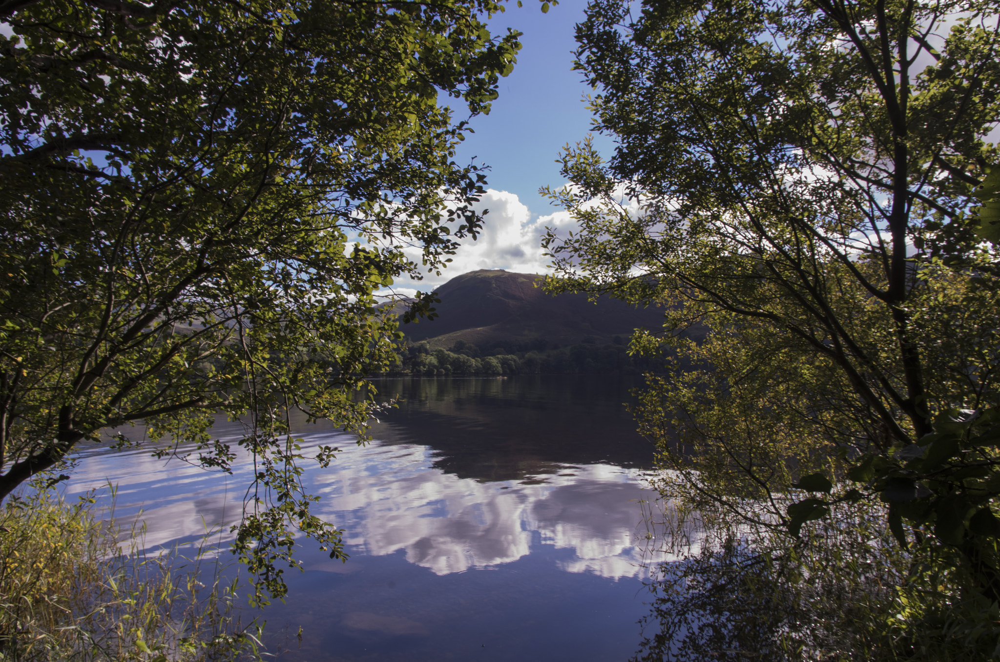 Sigma 17-70mm F2.8-4 DC Macro HSM | C sample photo. Ullswater through the trees photography