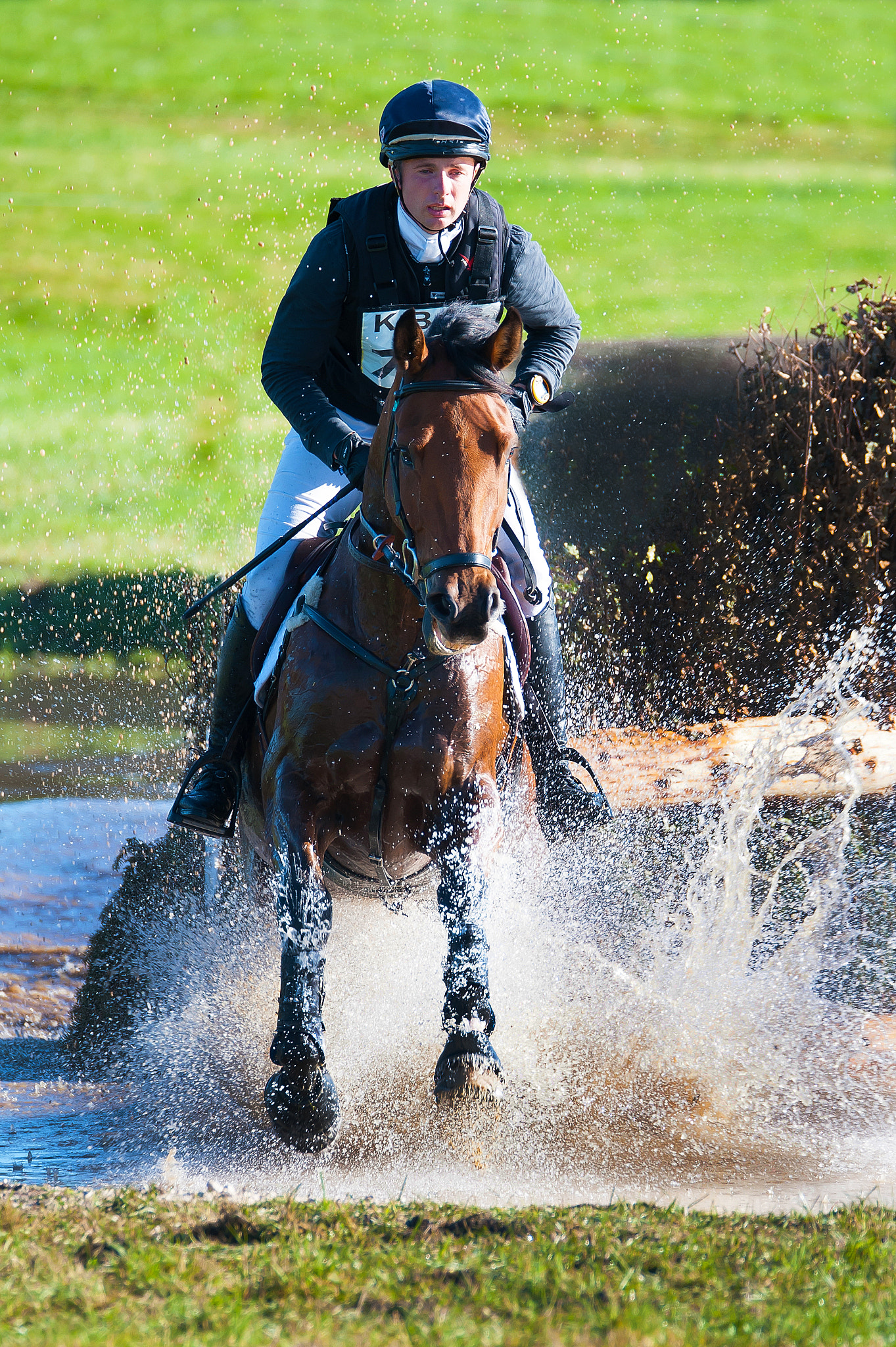 Sigma 150-600mm F5-6.3 DG OS HSM | S sample photo. Rider 729 photography