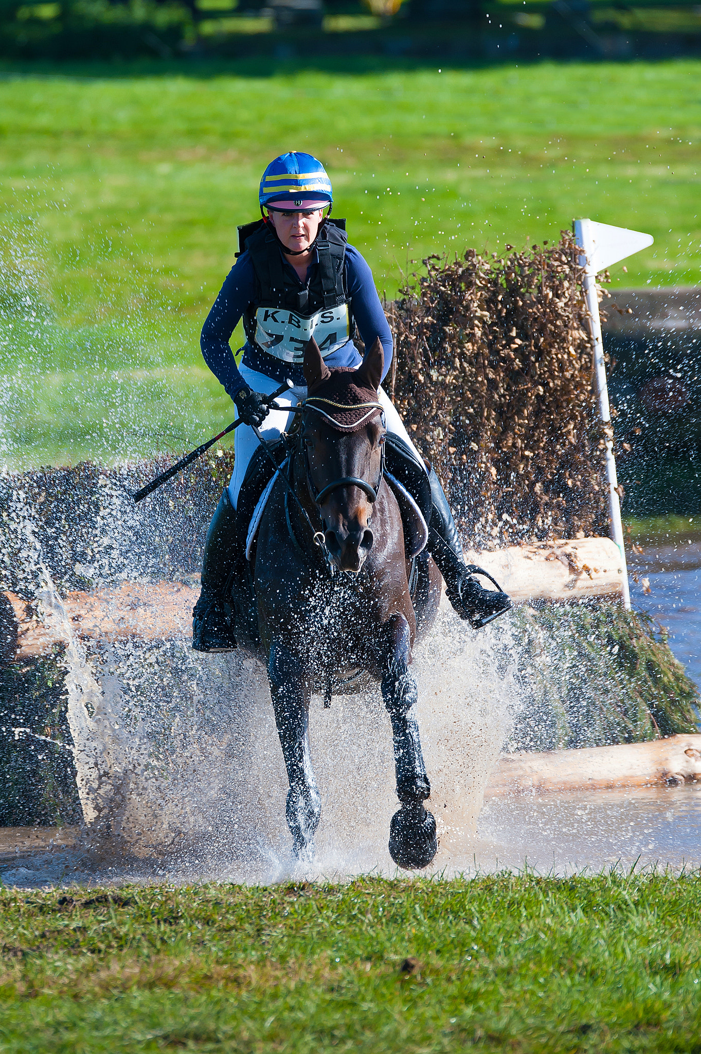 Sigma 150-600mm F5-6.3 DG OS HSM | S sample photo. Rider 734 photography