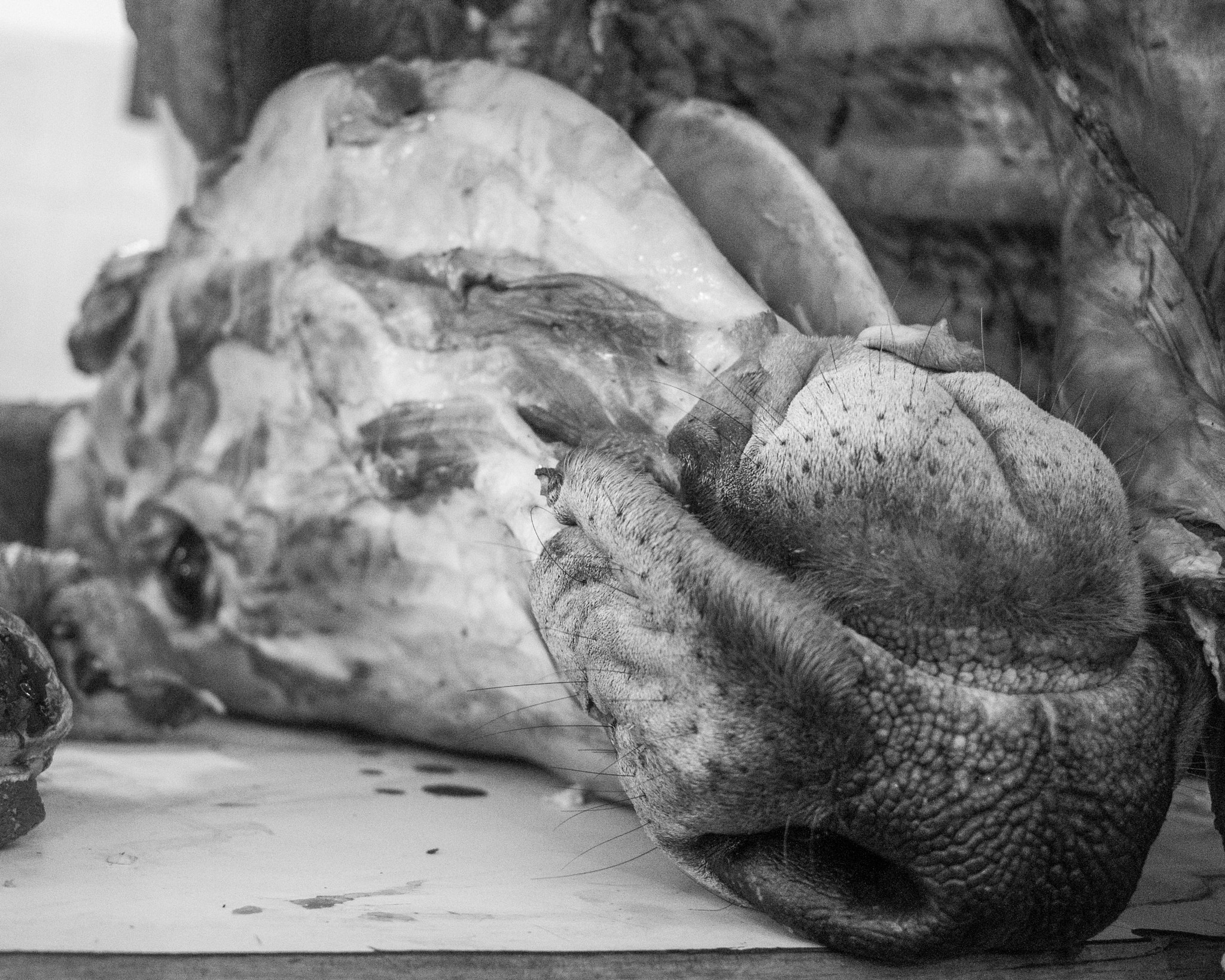 Canon EF-S 24mm F2.8 STM sample photo. Butchery photography