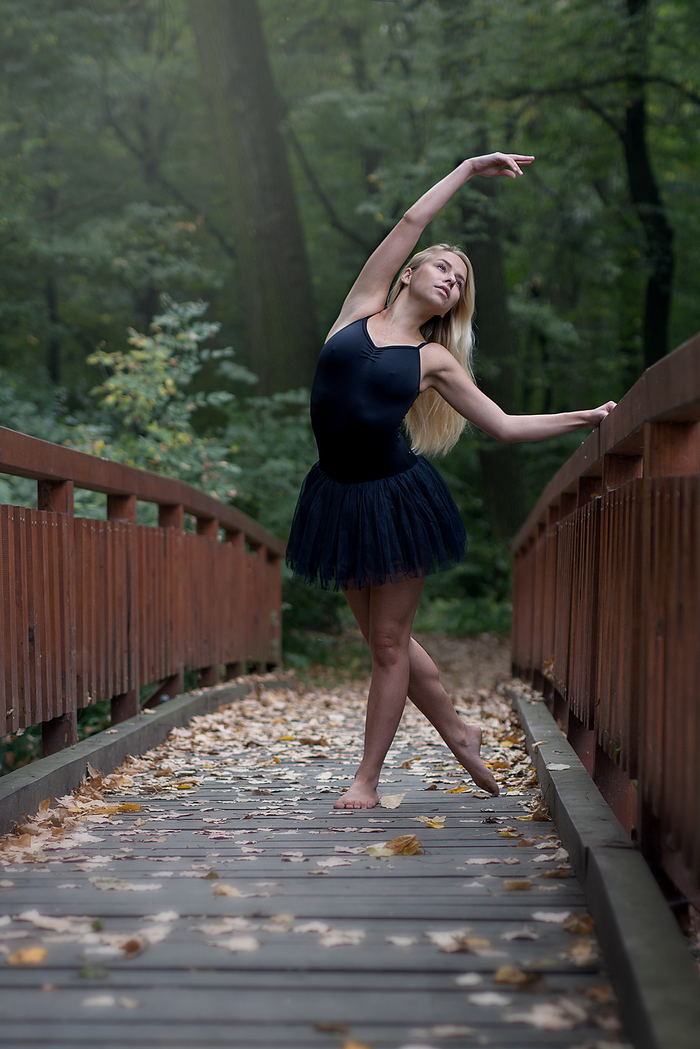 Nikon D5200 + Sigma 50mm F1.4 DG HSM Art sample photo. Ballerina photography