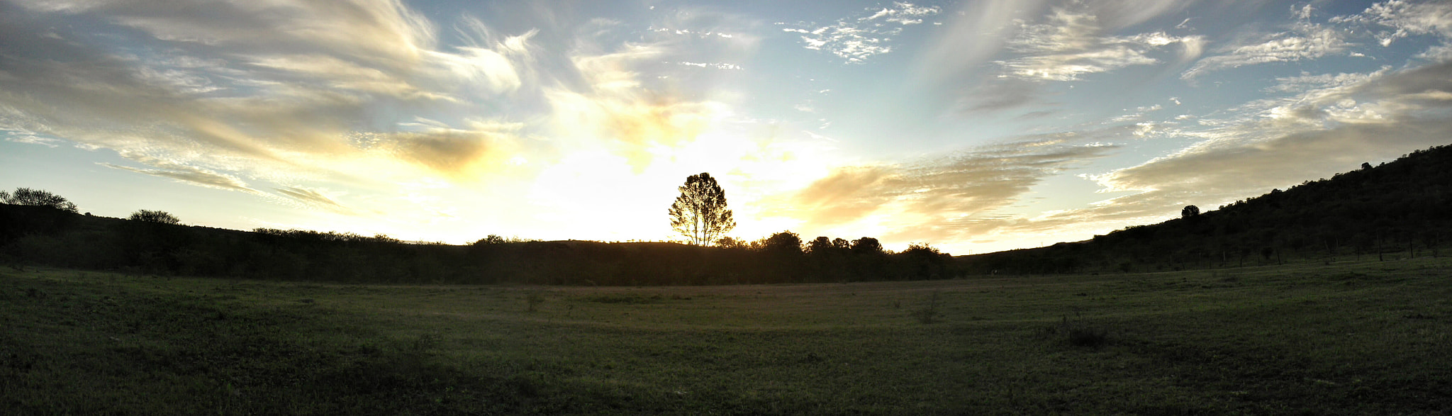 Fujifilm FinePix L30 sample photo. Sunset over giant tree photography
