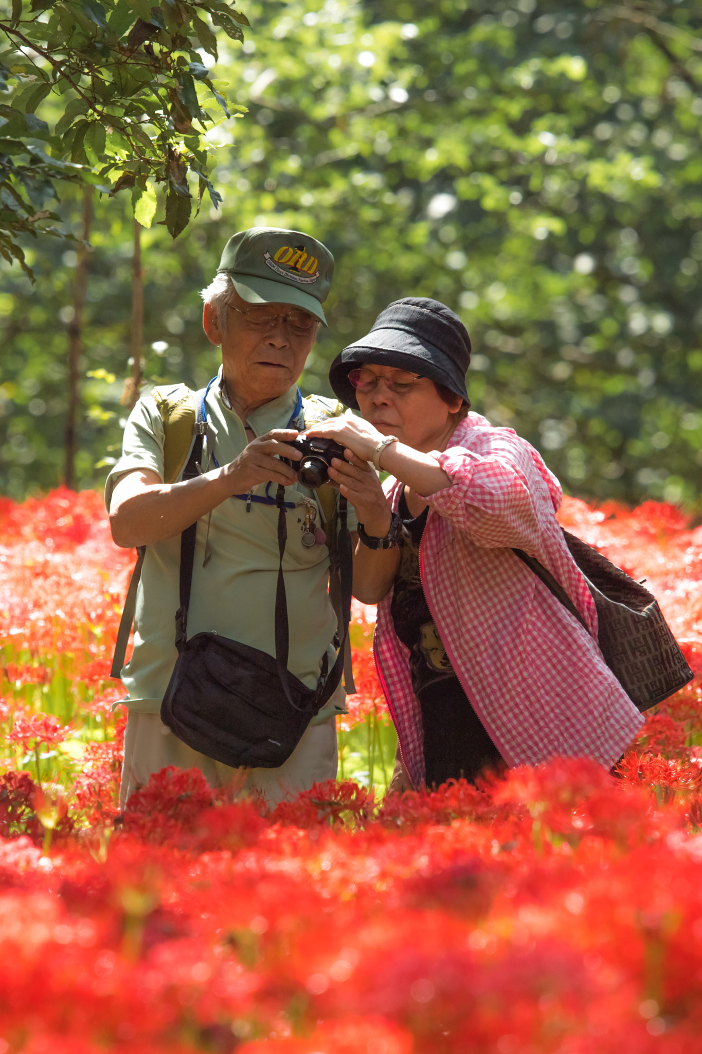 Nikon Nikkor AF-S 300mm F4E PF ED VR sample photo. Love for ever! photography