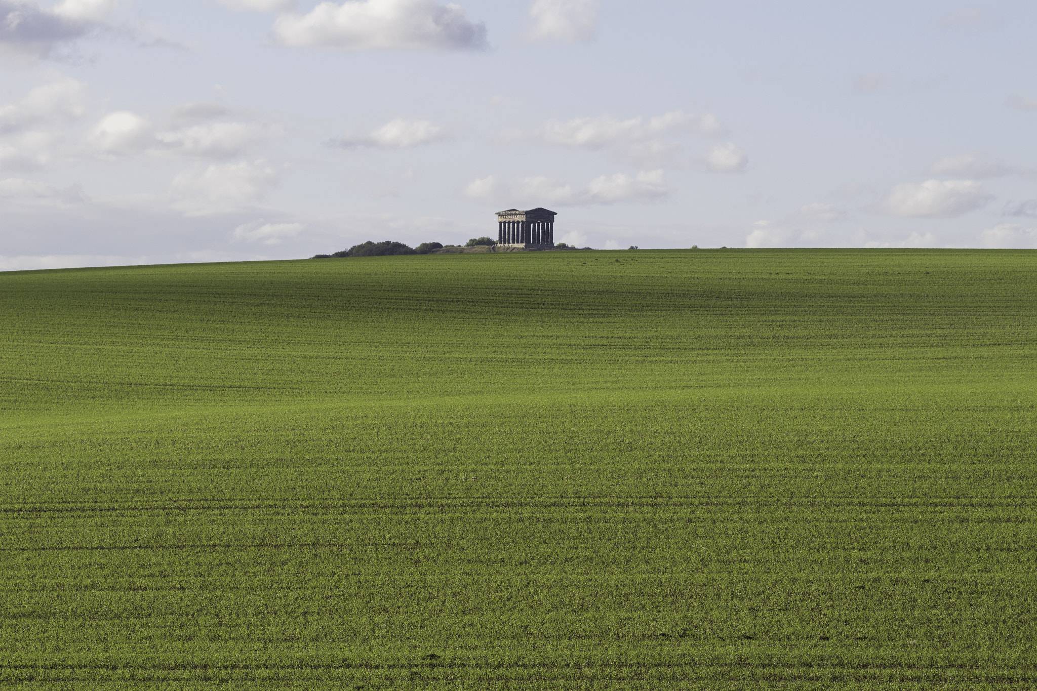 Canon EF 100mm F2.8 Macro USM sample photo. Penshaw monument sunderland photography