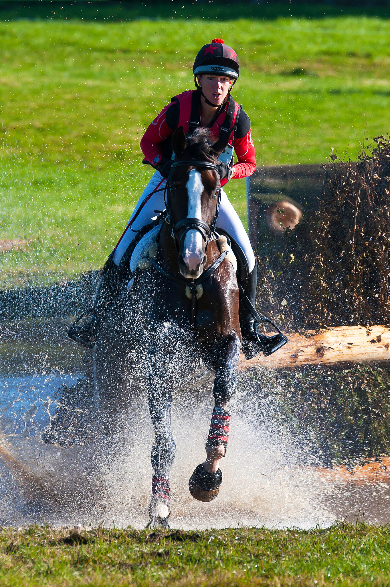 Sigma 150-600mm F5-6.3 DG OS HSM | S sample photo. Rider 719 photography