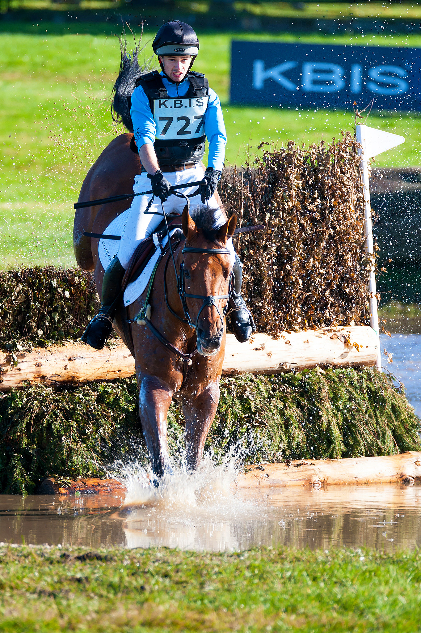 Sigma 150-600mm F5-6.3 DG OS HSM | S sample photo. Rider 727 photography