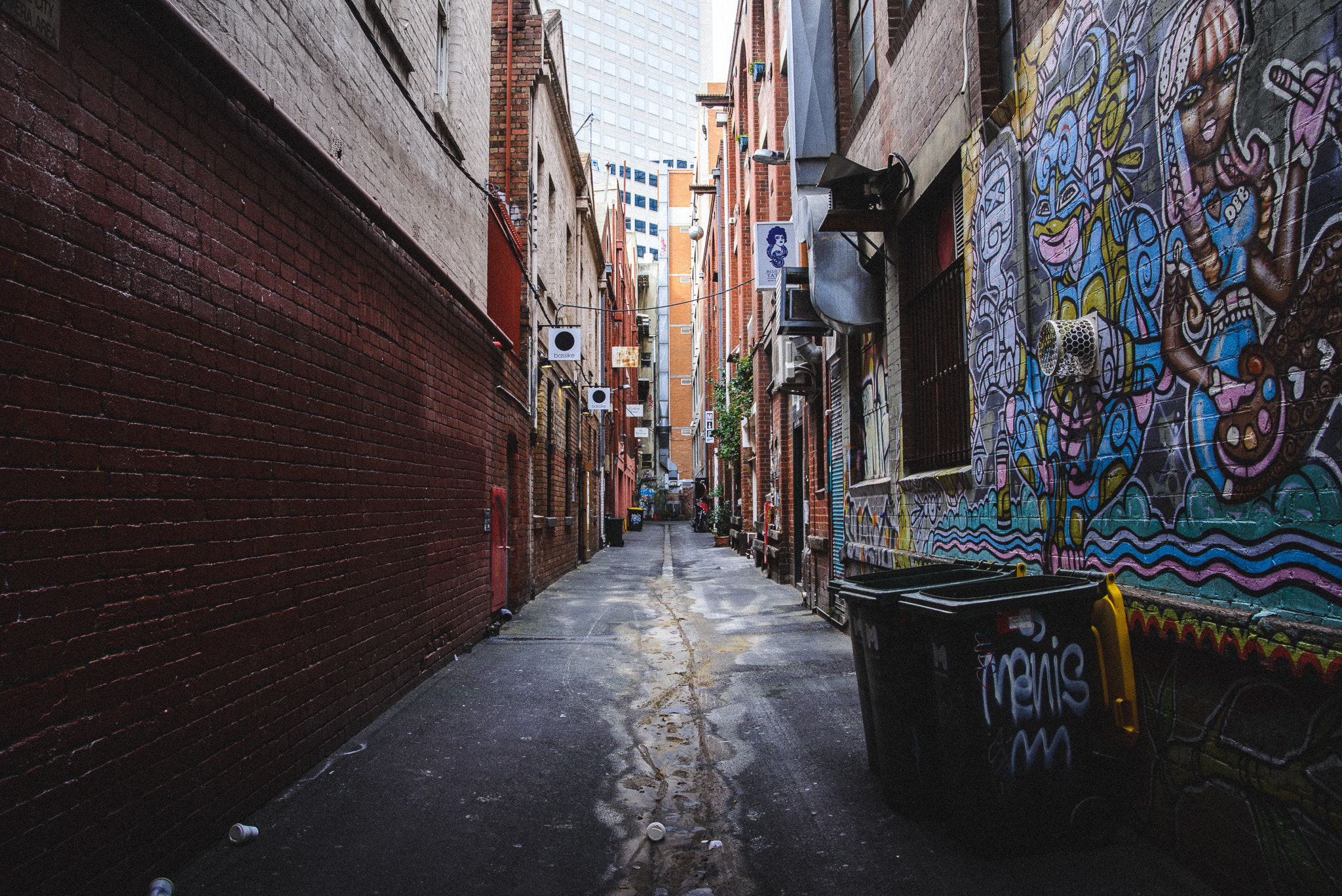 Nikon D610 sample photo. Melbourne alley photography