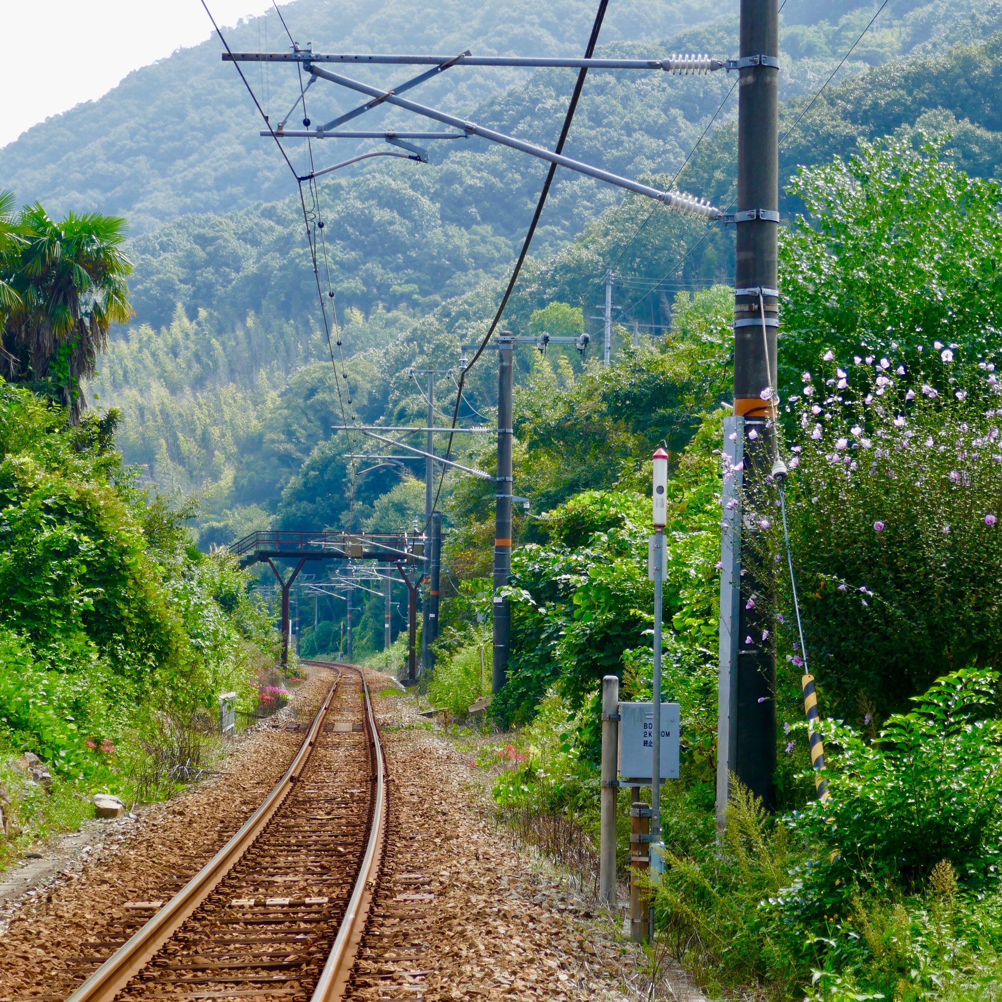 Panasonic DMC-TX1 sample photo. ローカル線 local line photography