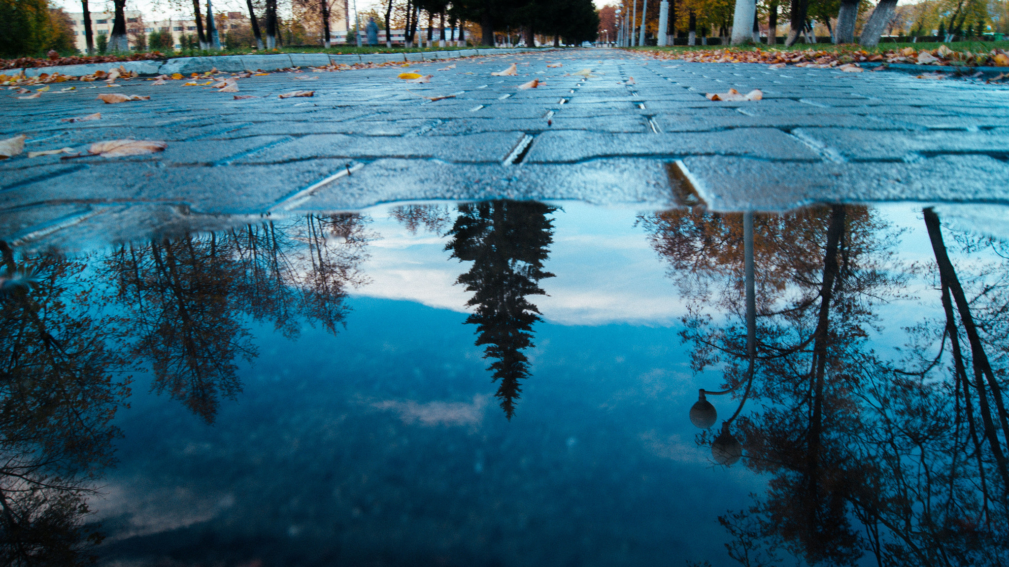 Sony Alpha DSLR-A330 + Sony DT 18-55mm F3.5-5.6 SAM sample photo. Another world photography