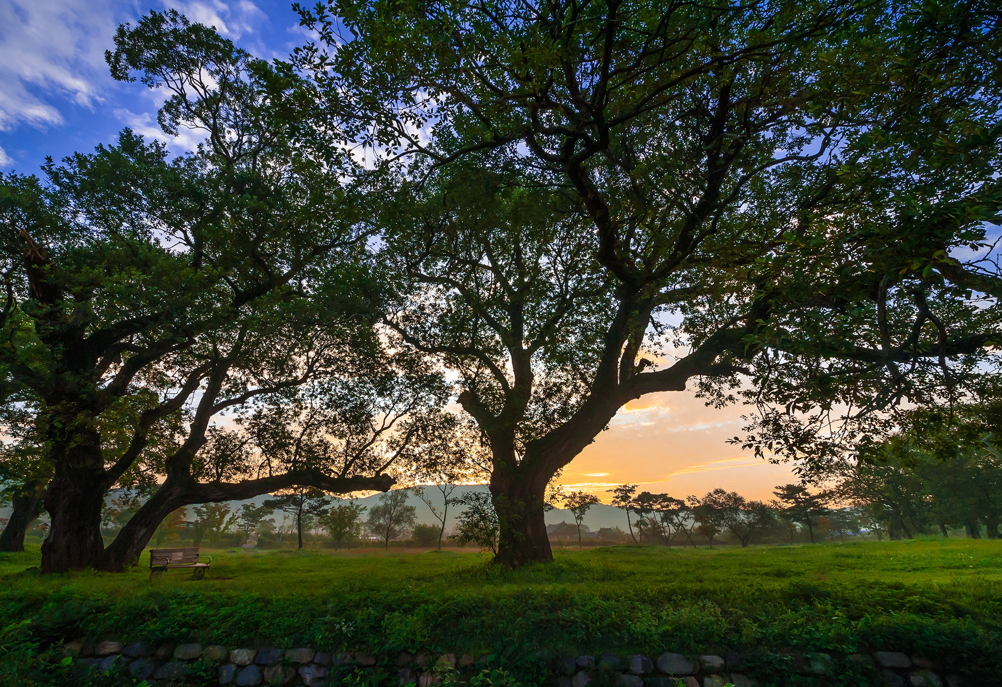 Nikon D700 + Sigma 12-24mm F4.5-5.6 II DG HSM sample photo. Morning light photography