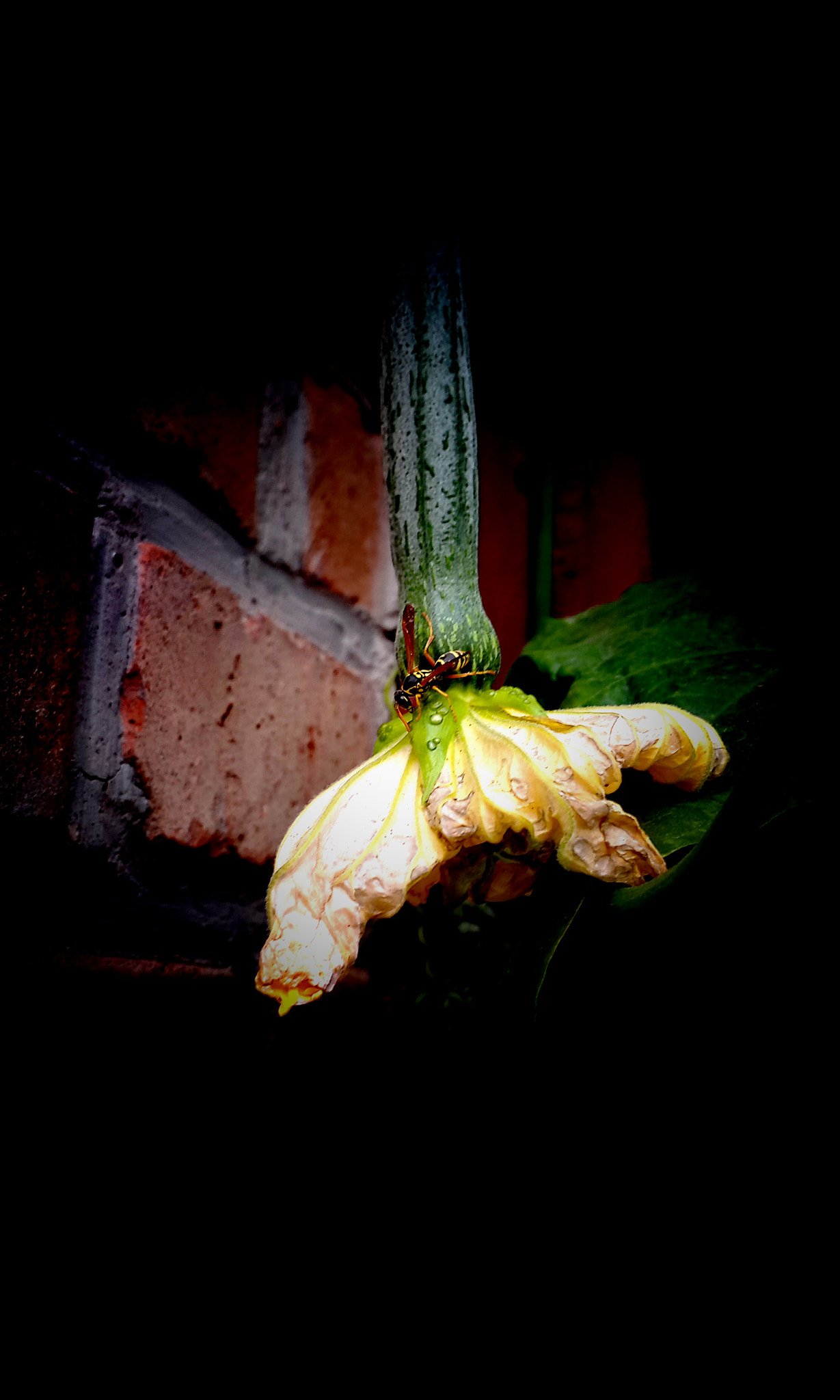 Meizu MX4 Pro sample photo